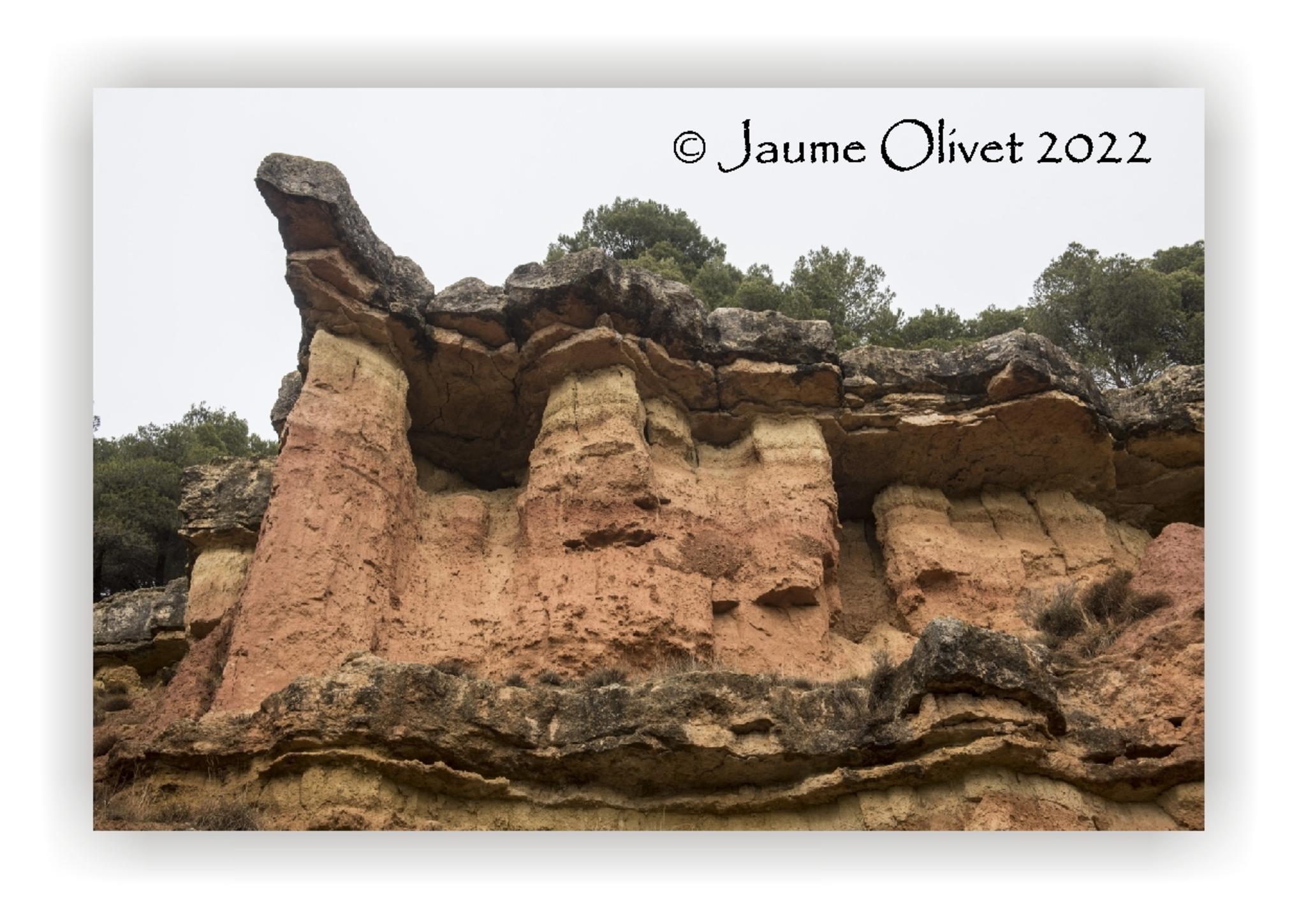 Jaume Olivet 2022