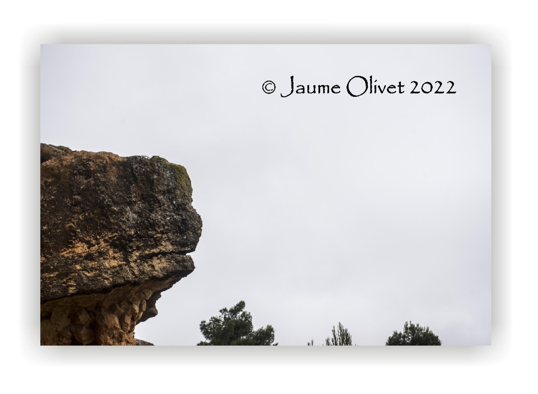  Jaume Olivet 2022