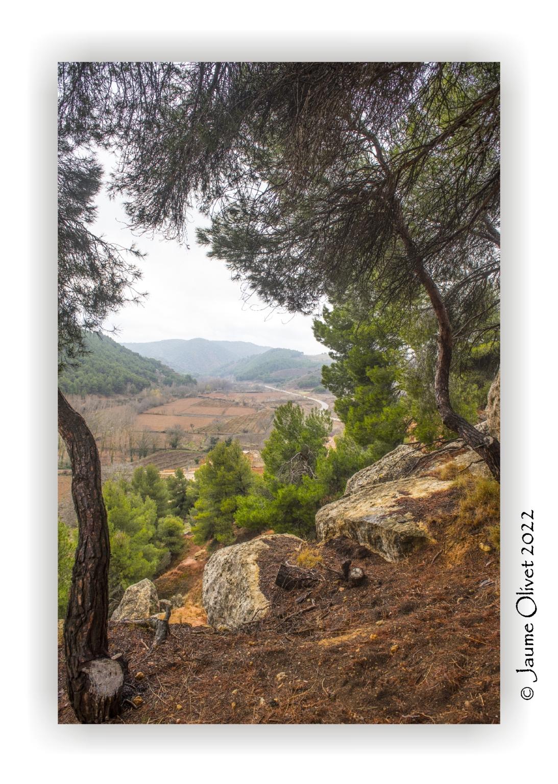  Jaume Olivet 2022