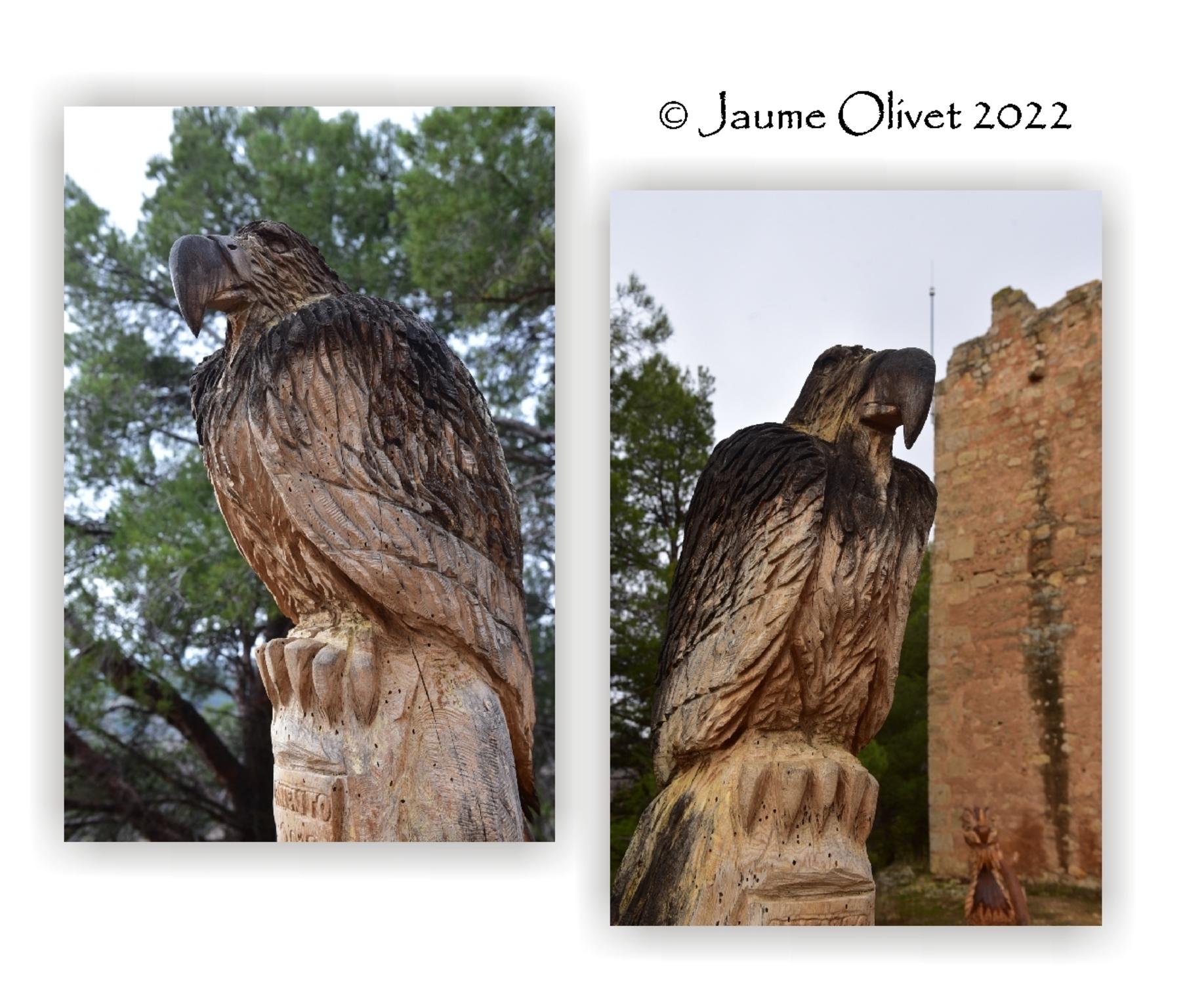  Jaume Olivet 2022