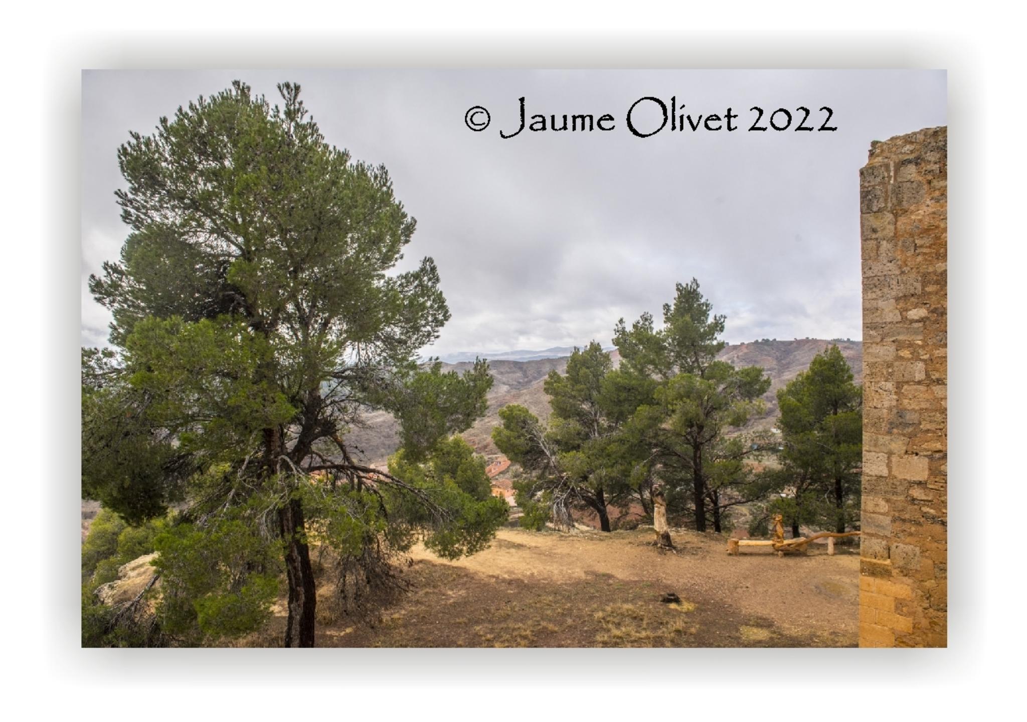  Jaume Olivet 2022