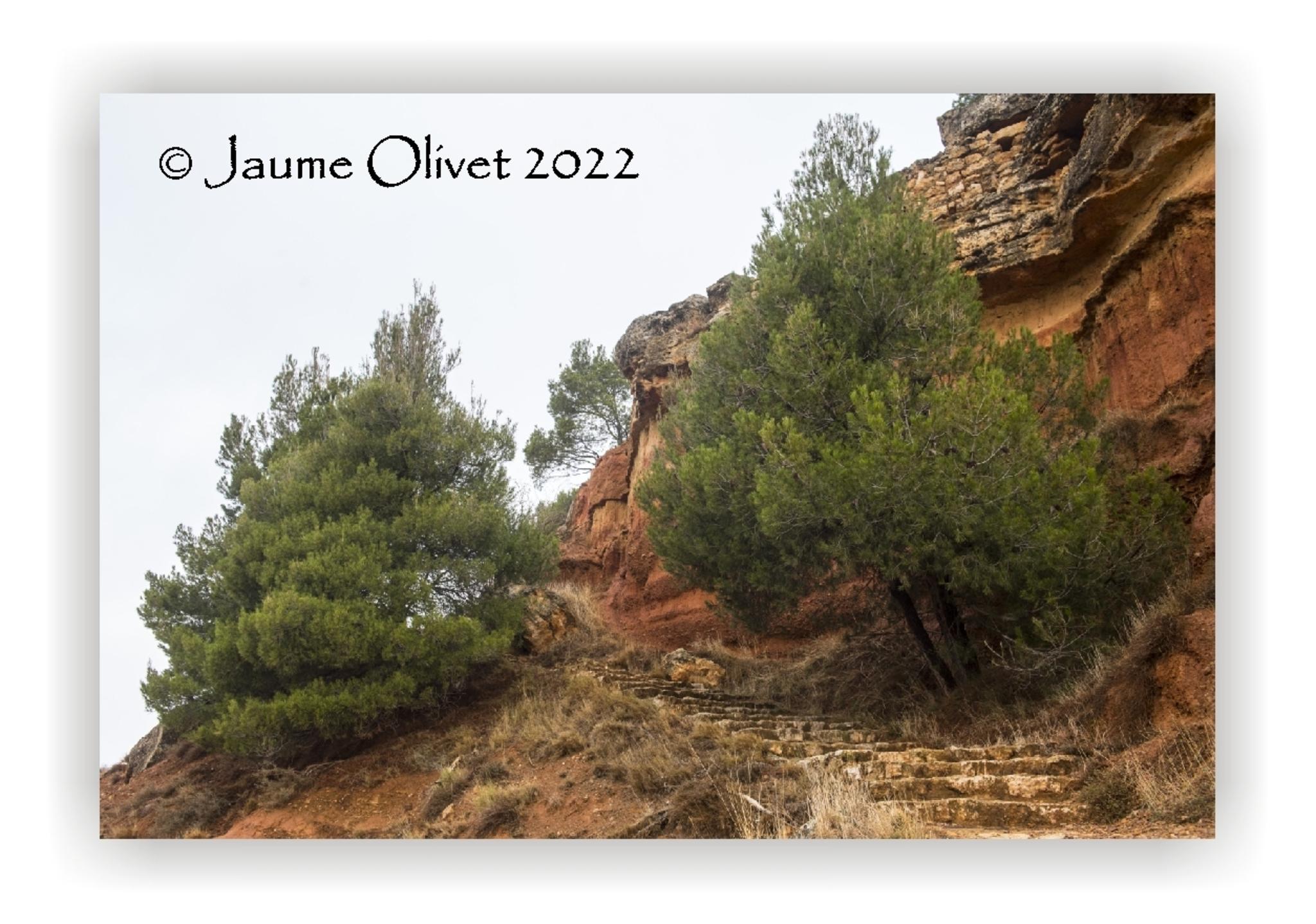  Jaume Olivet 2022