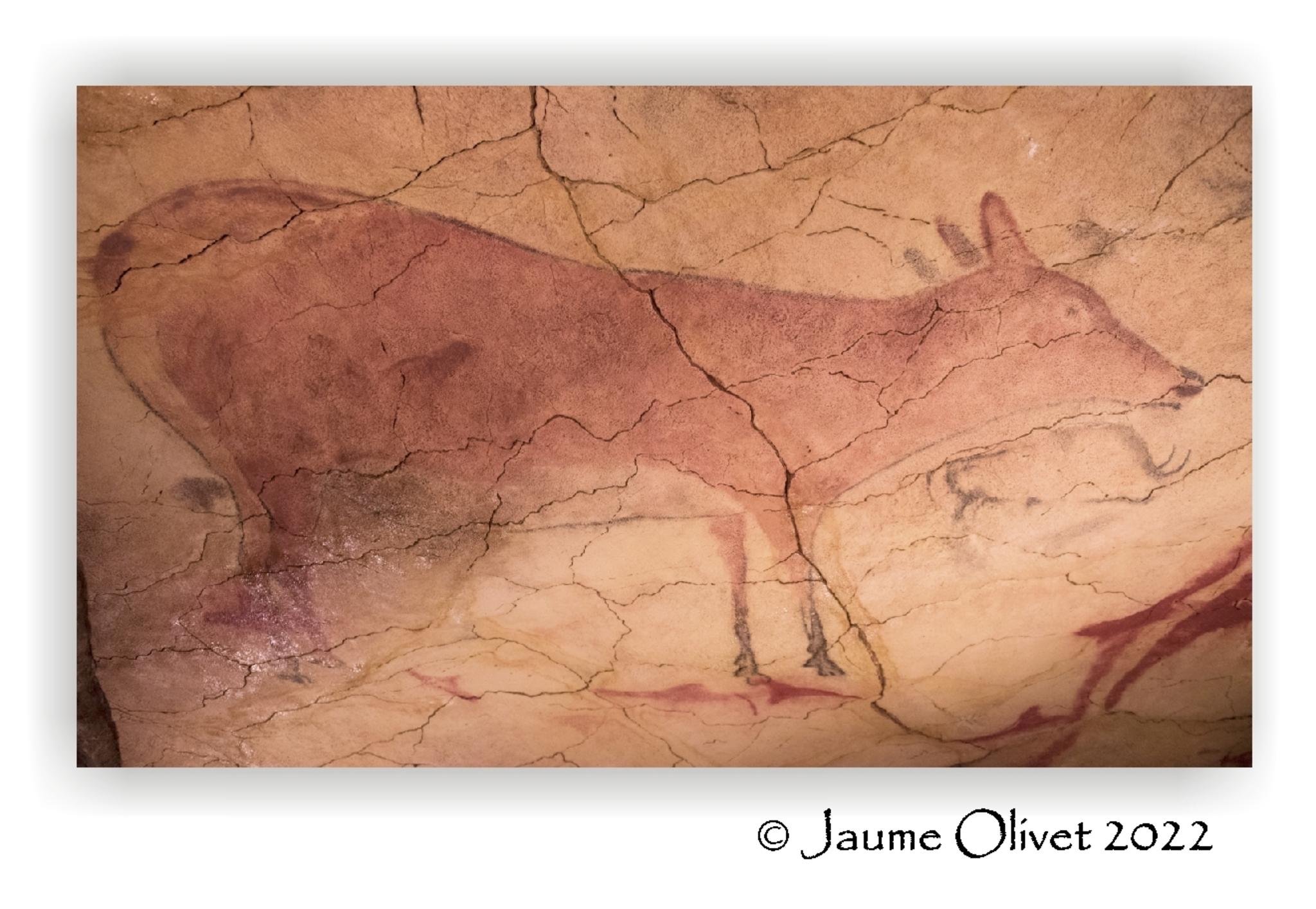  Jaume Olivet 2022