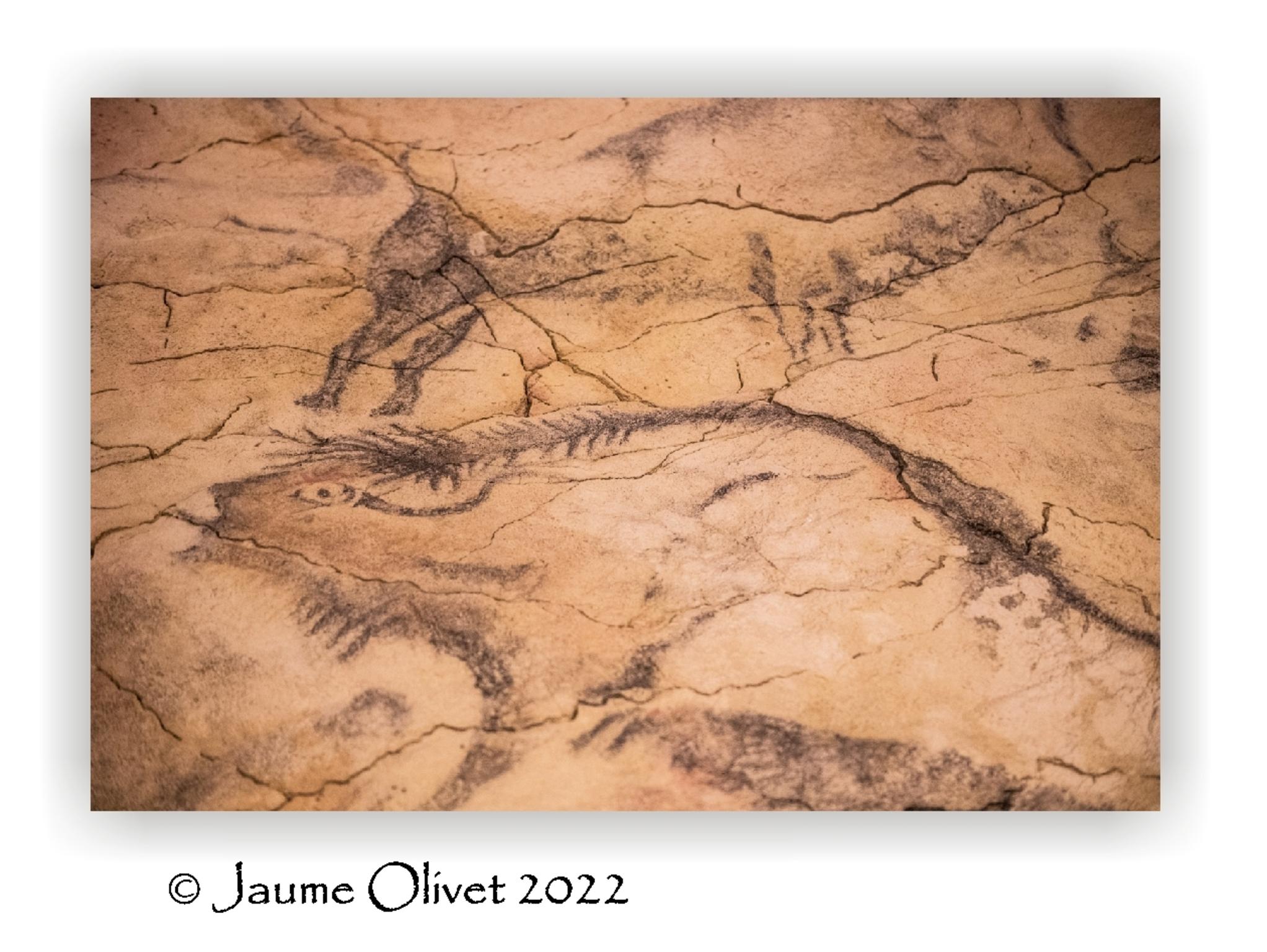  Jaume Olivet 2022