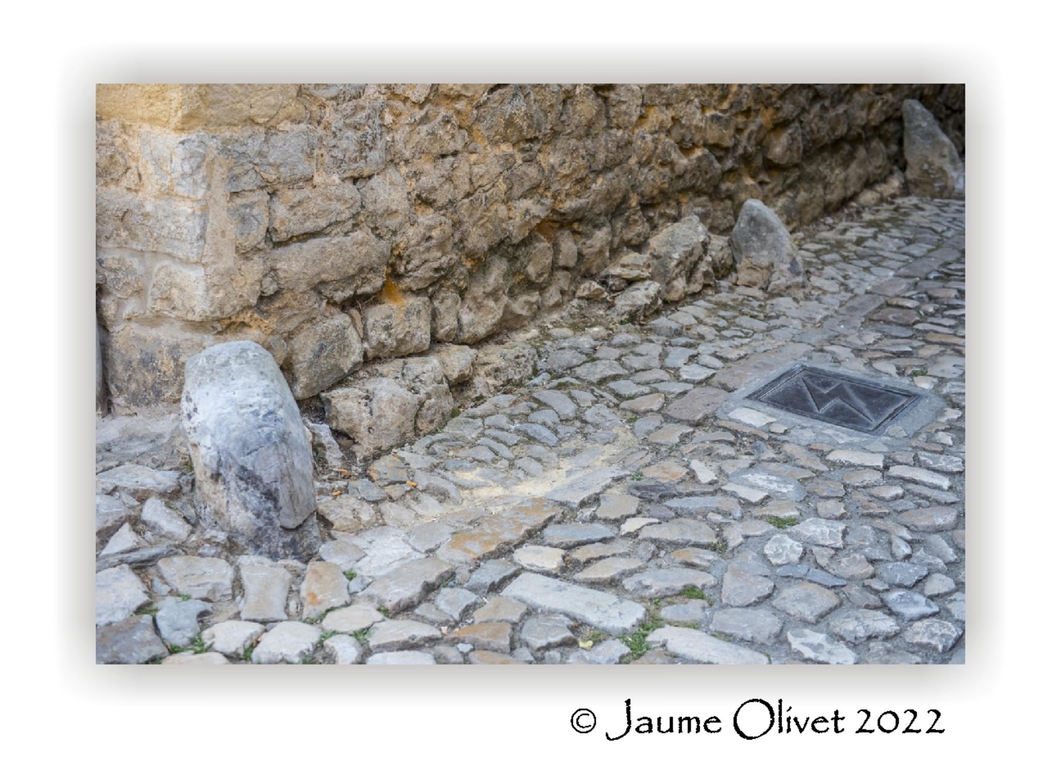  Jaume Olivet 2022