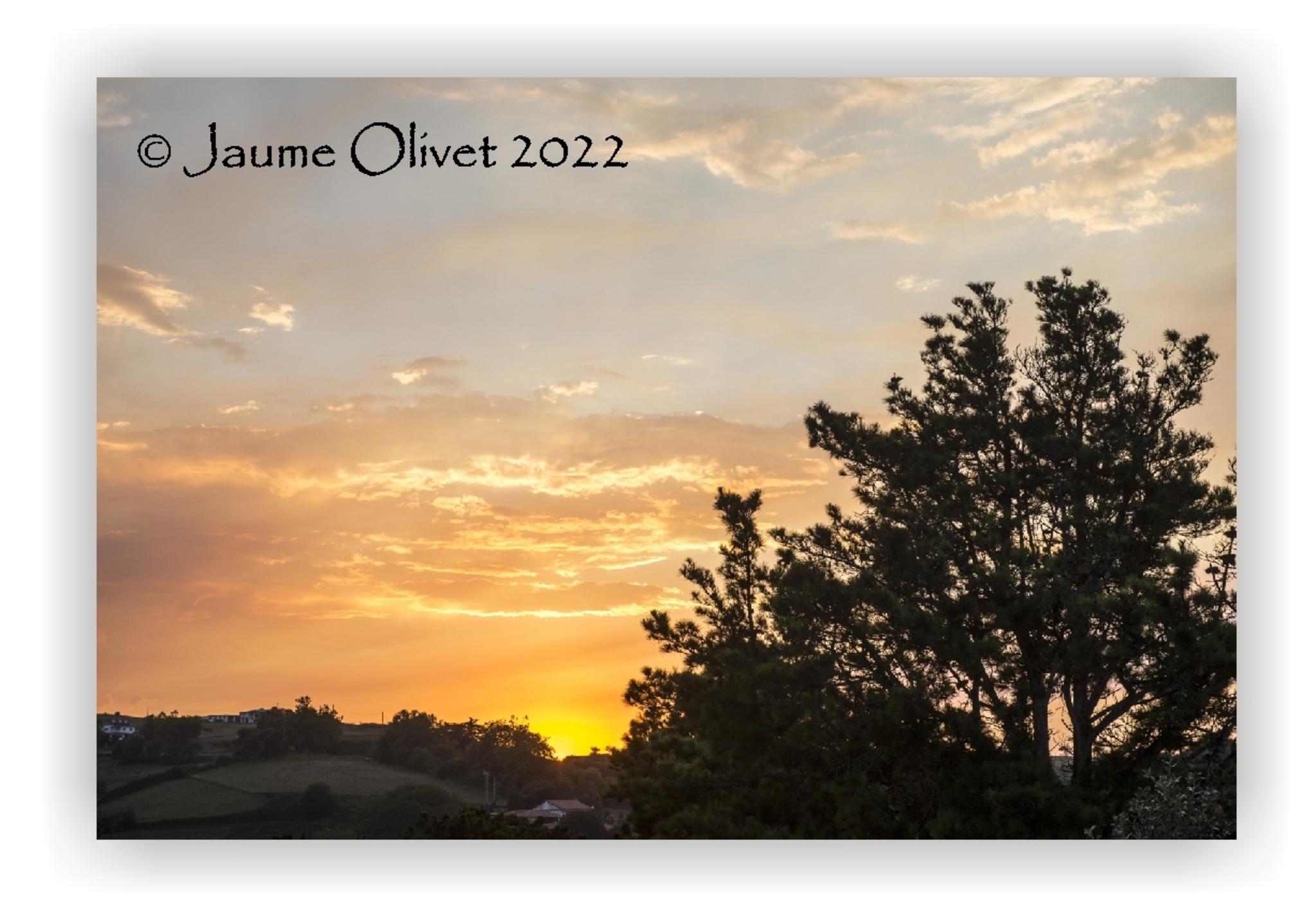  Jaume Olivet 2022