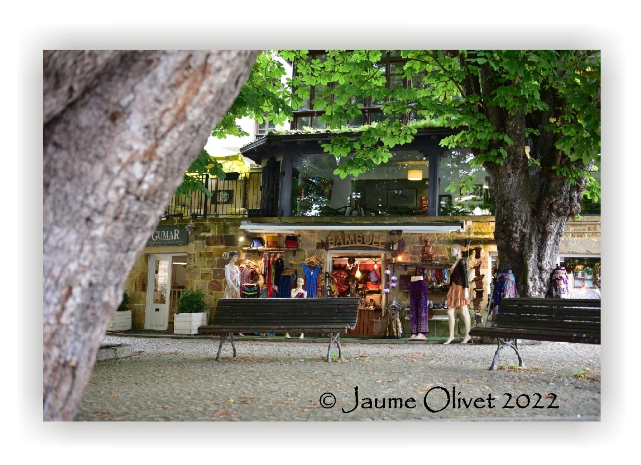  Jaume Olivet 2022