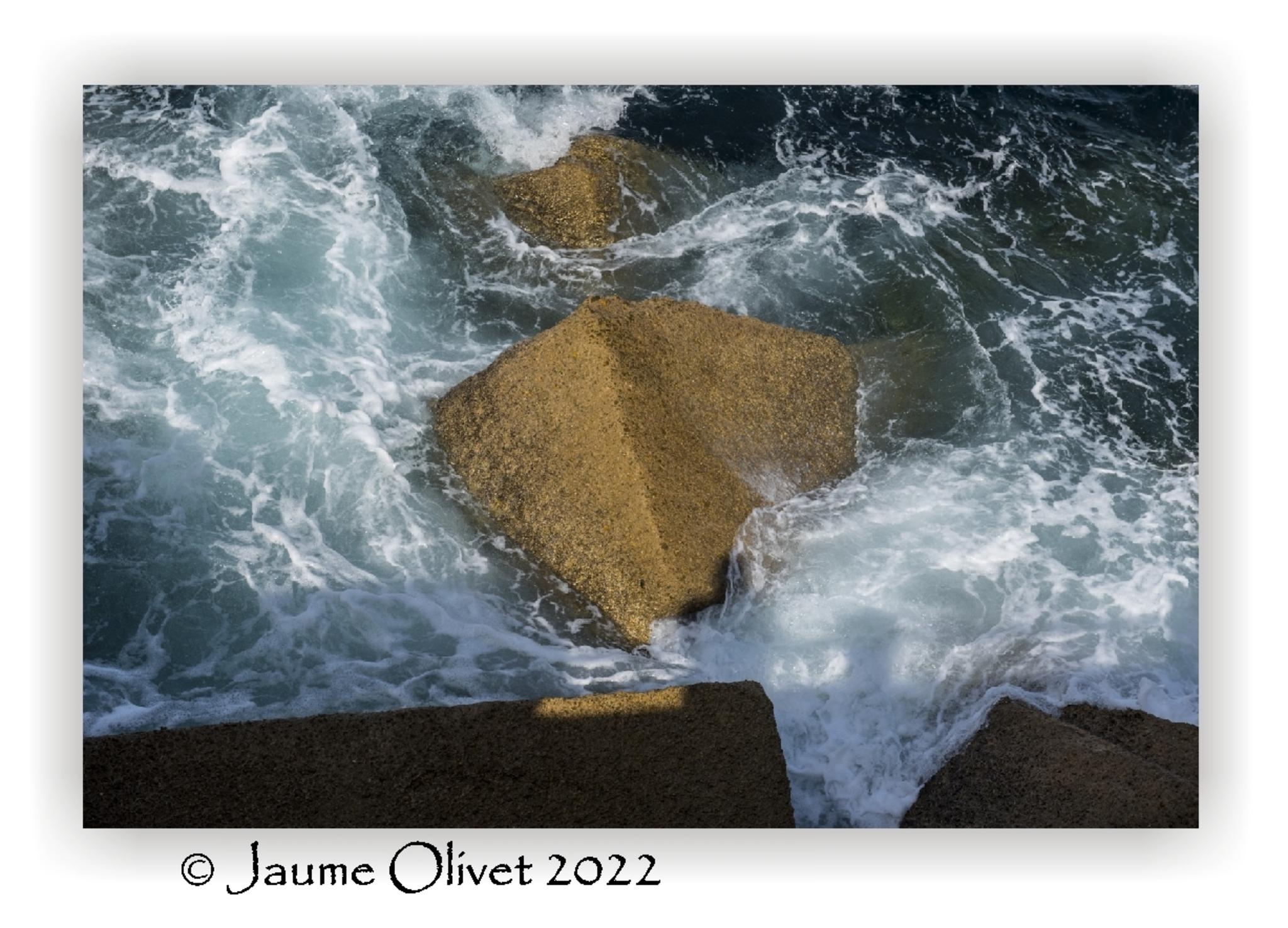  Jaume Olivet 2022