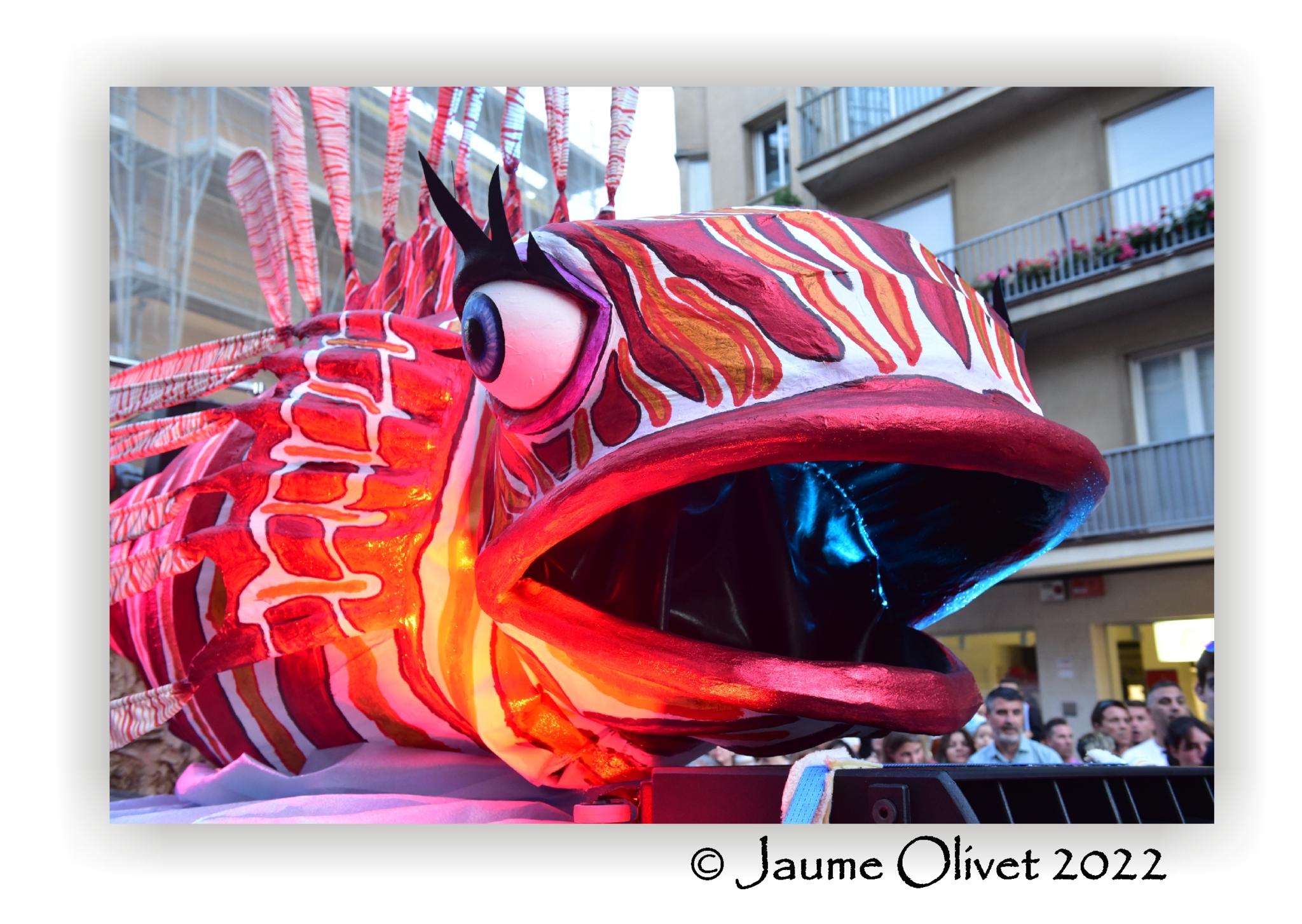  Jaume Olivet 2022
