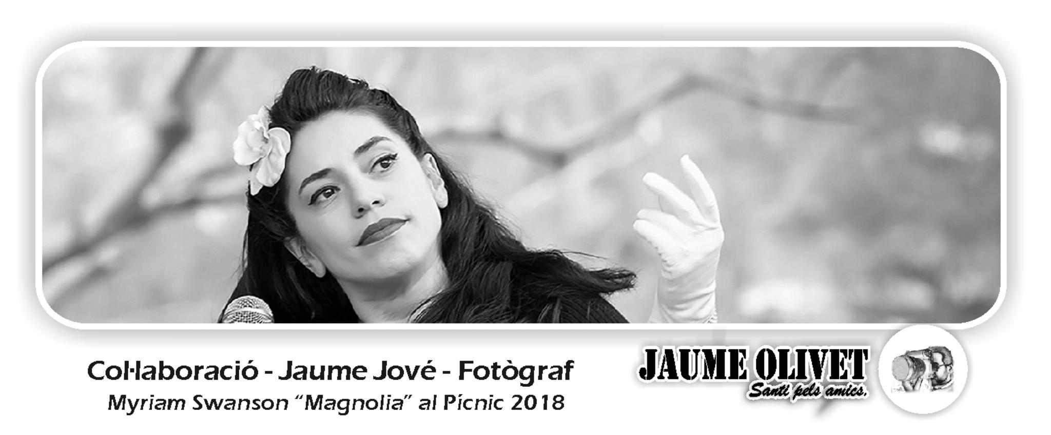  Jaume Jov 2017