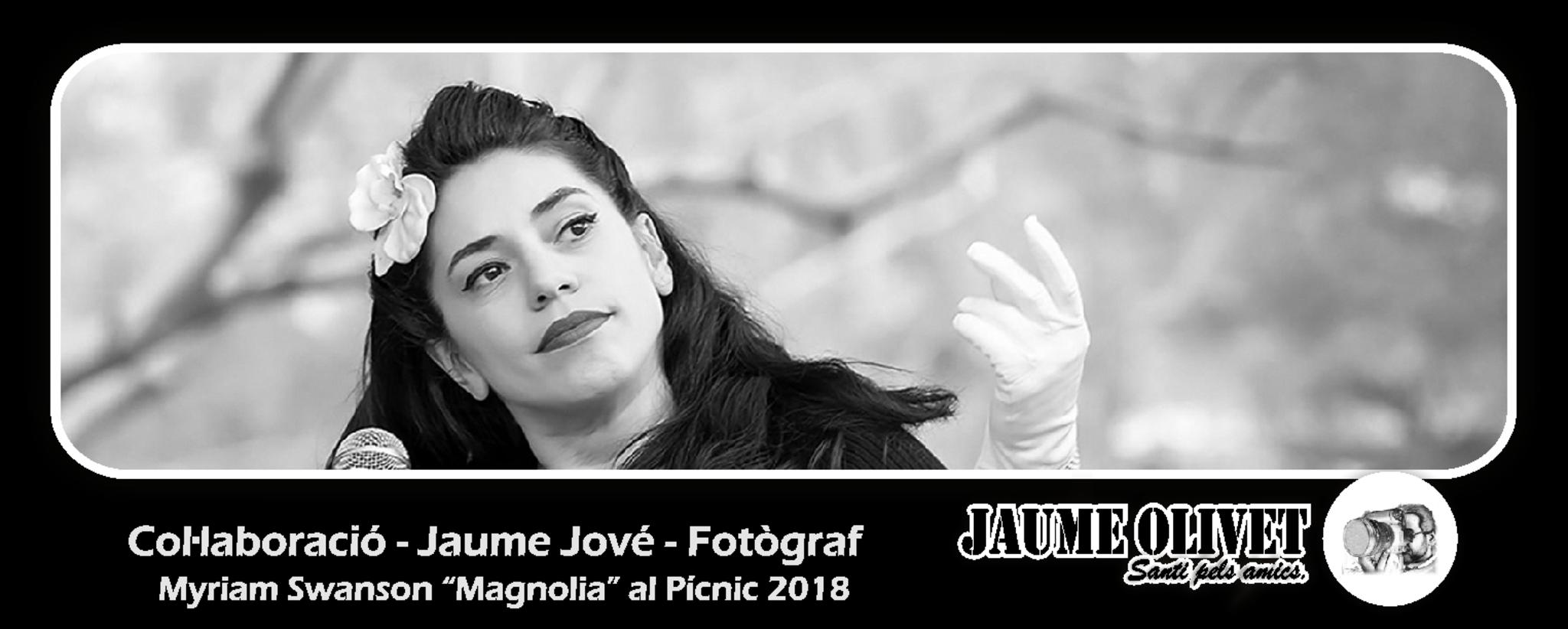  Jaume Jov 2017