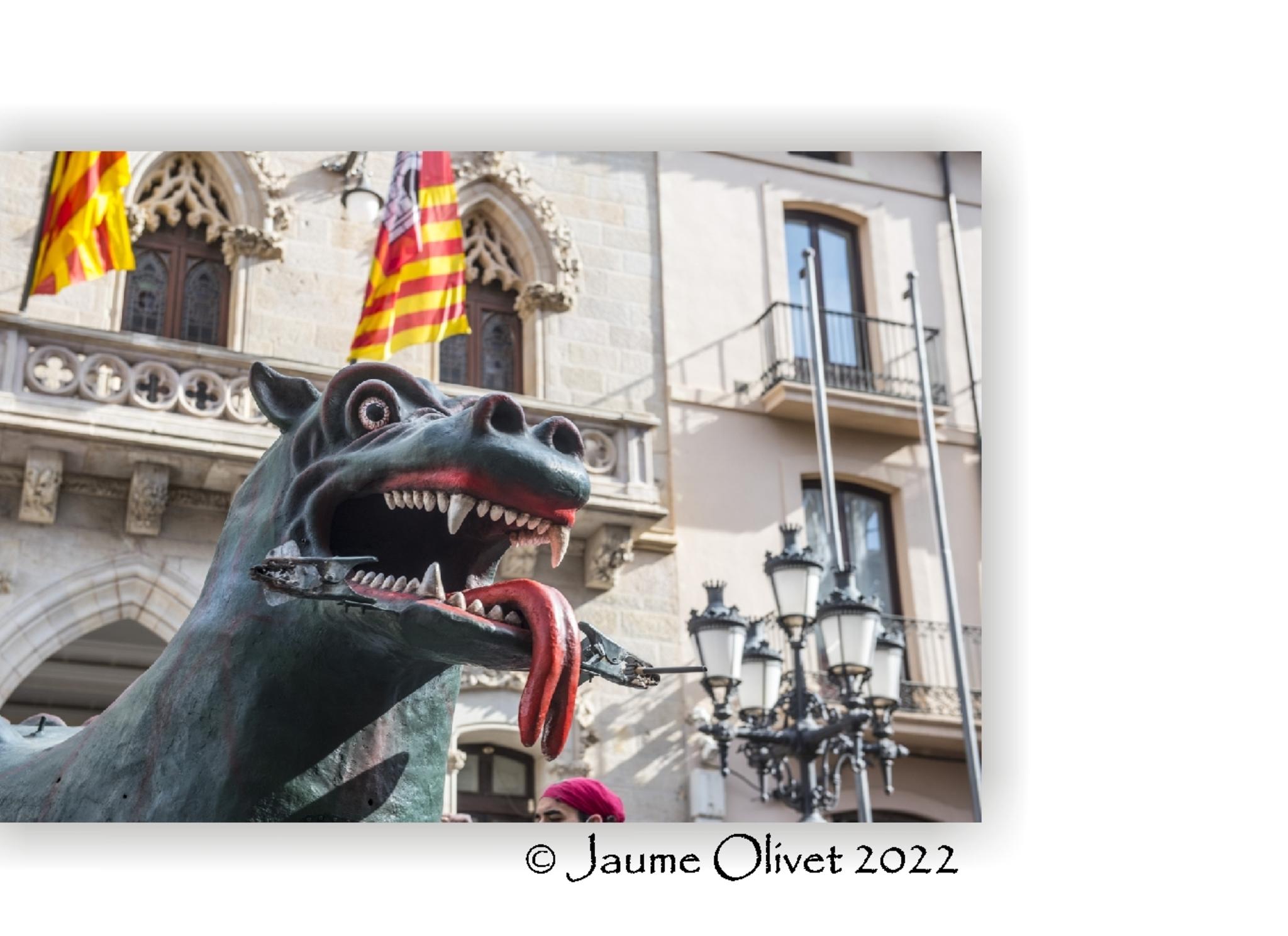  Jaume Olivet 2022