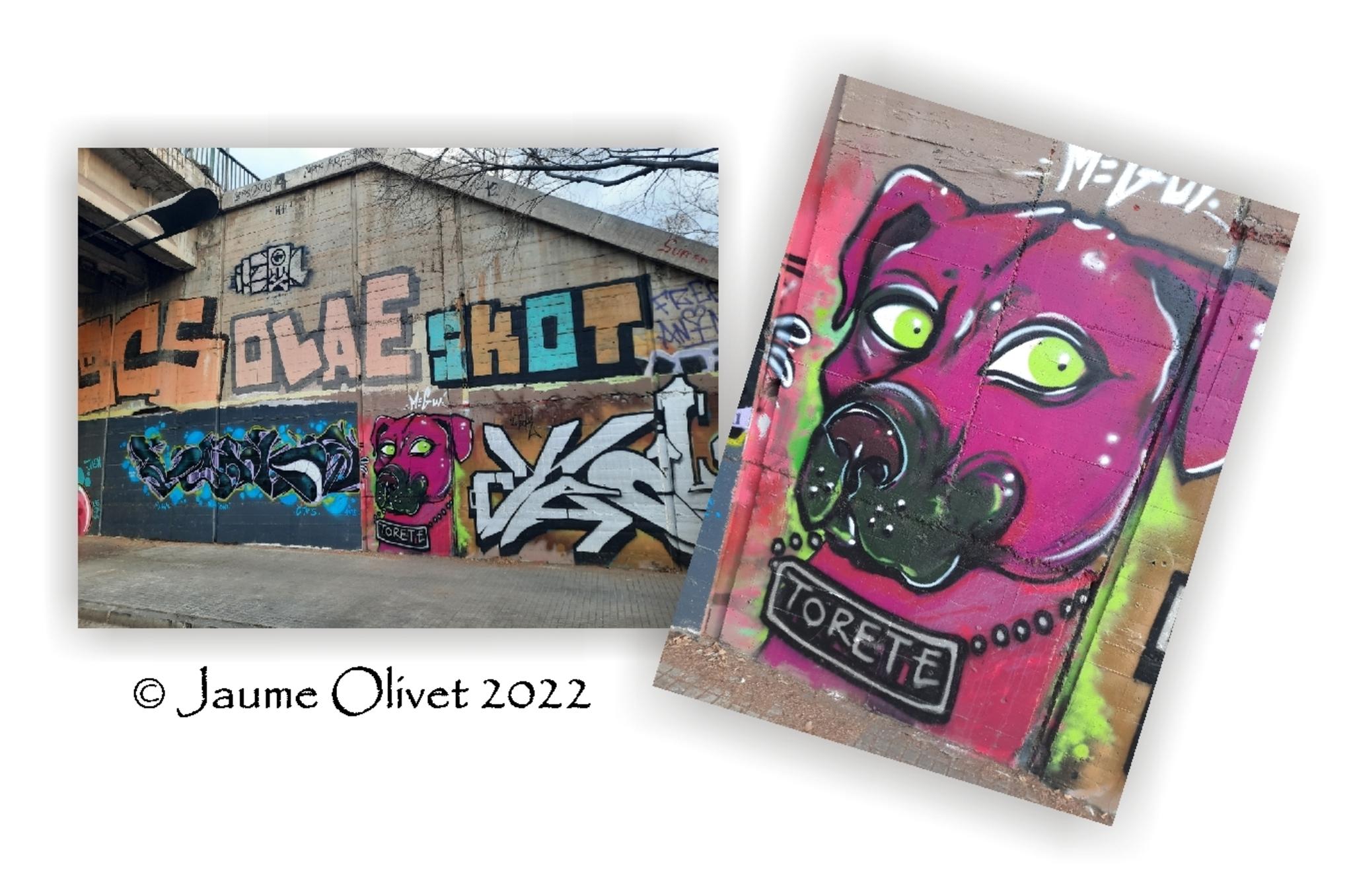  Jaume Olivet 2022