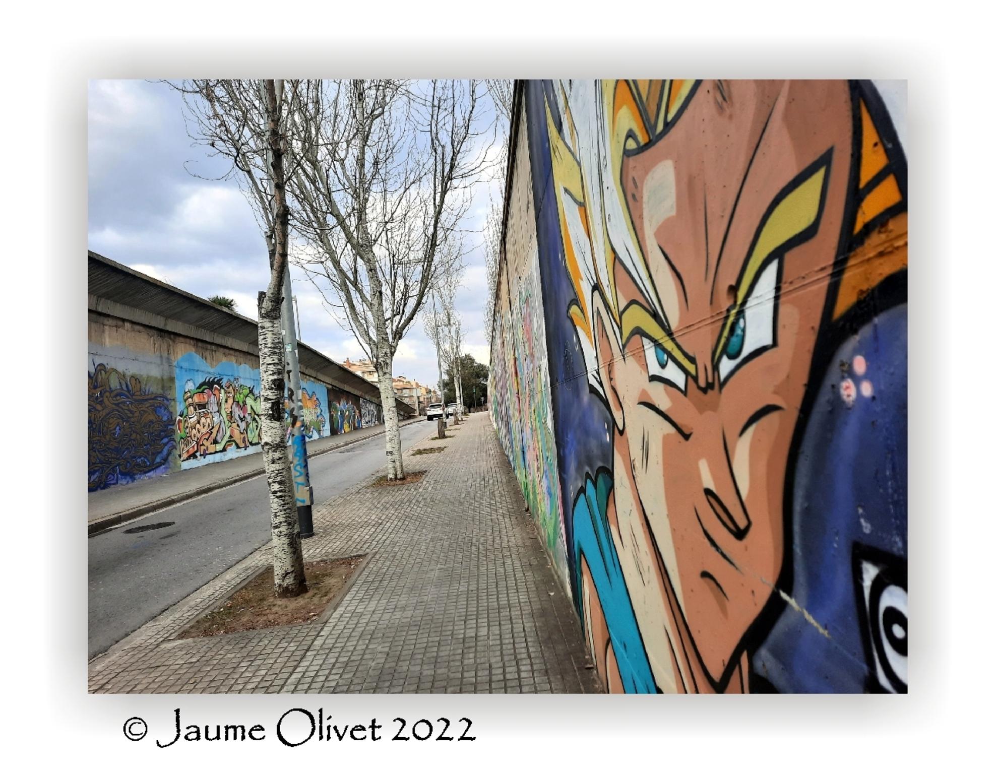  Jaume Olivet 2022