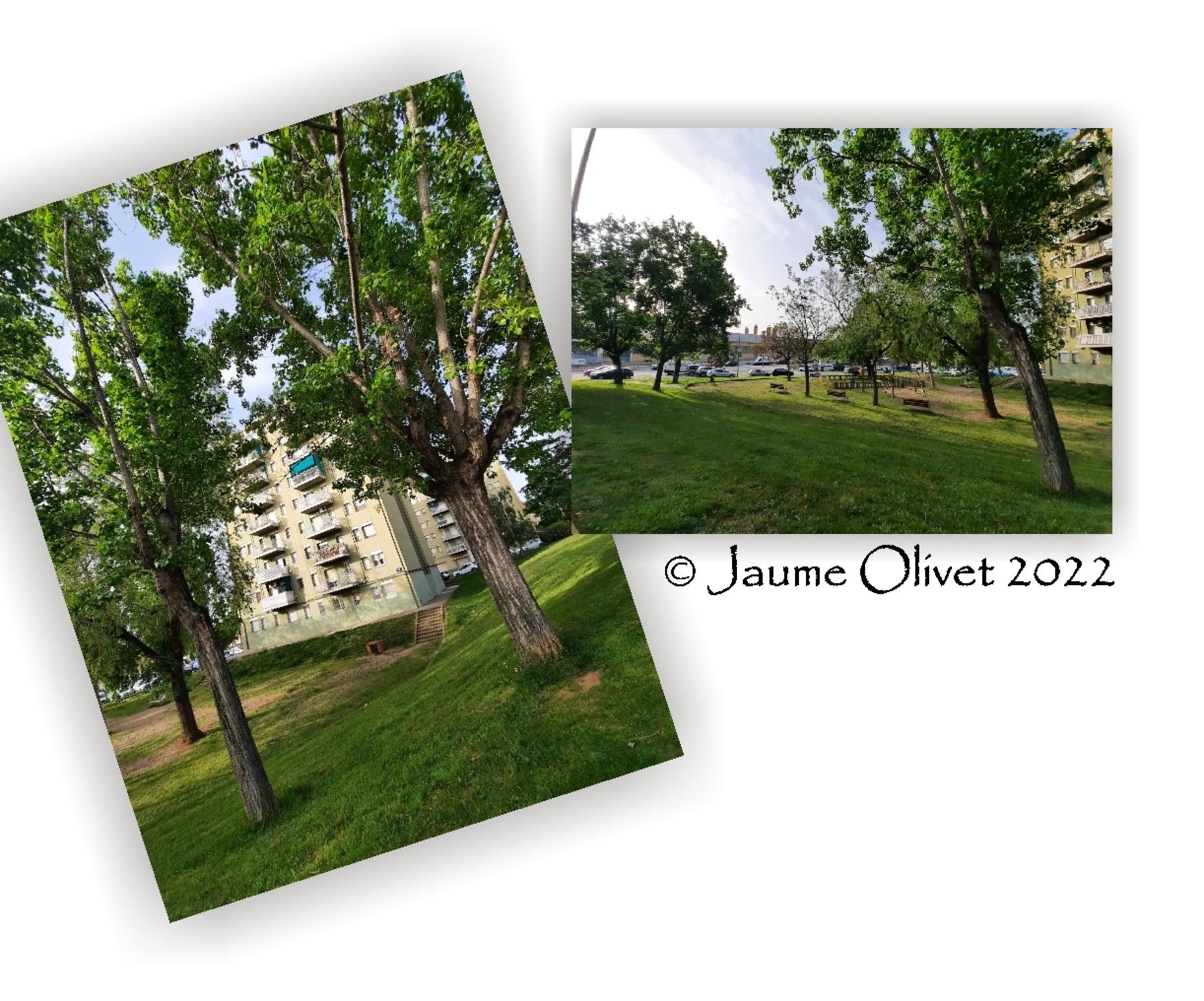  Jaume Olivet 2022