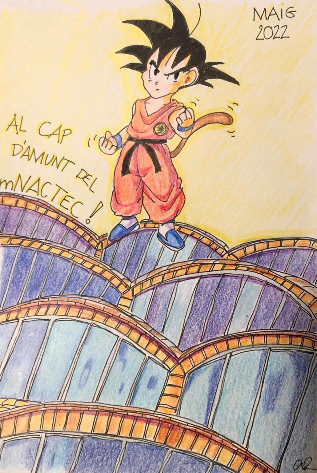  Anna Raber 2022