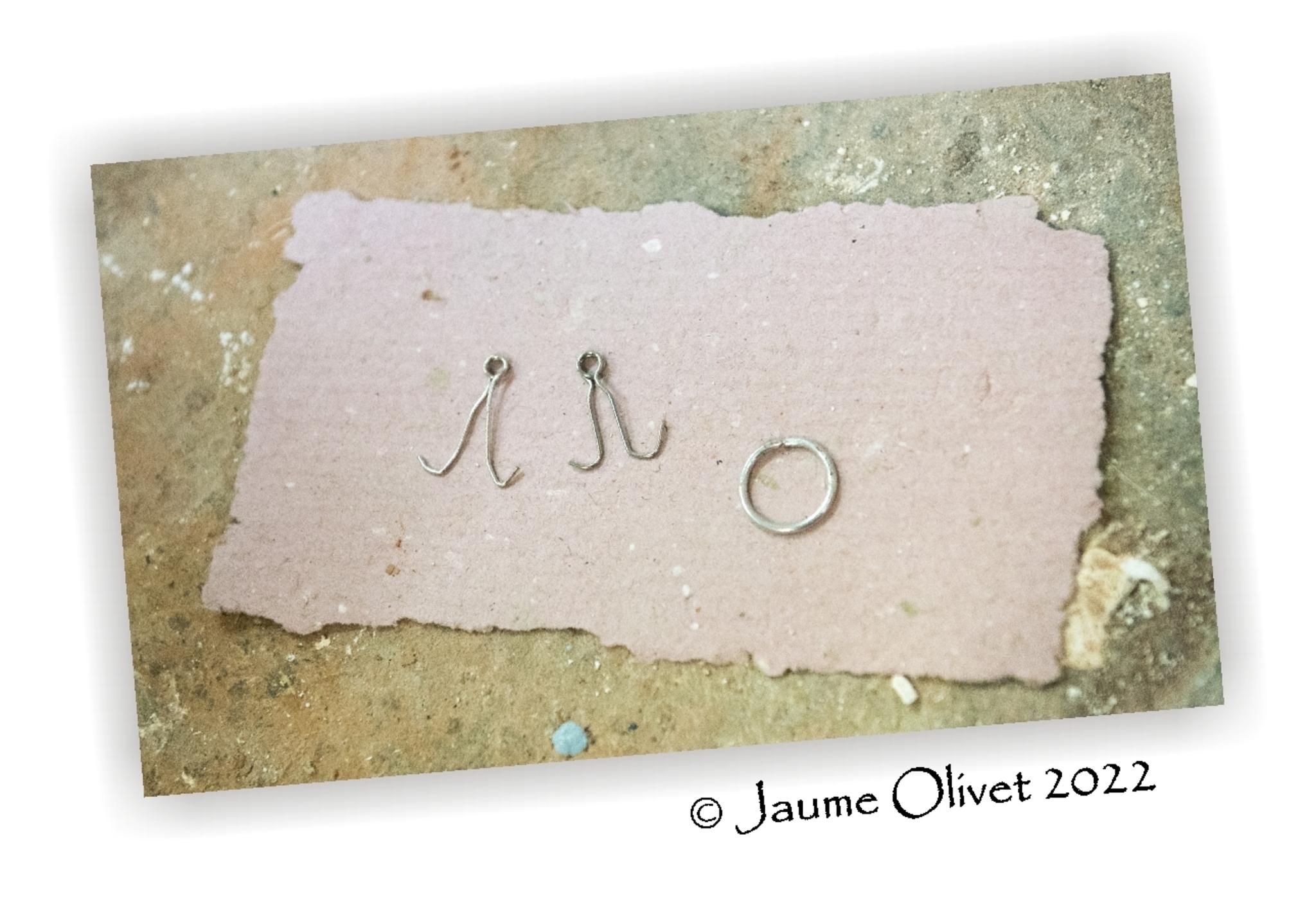  Jaume Olivet 2022