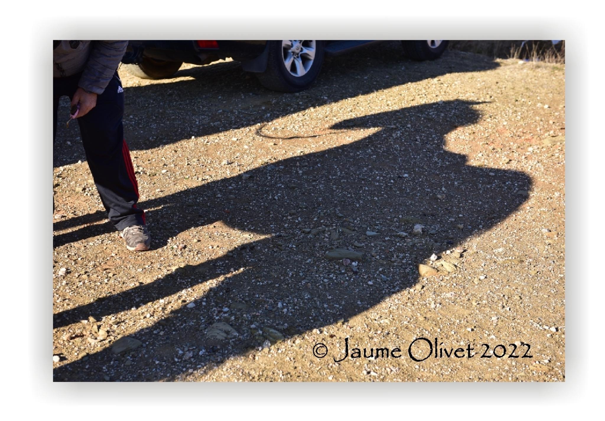  Jaume Olivet 2022