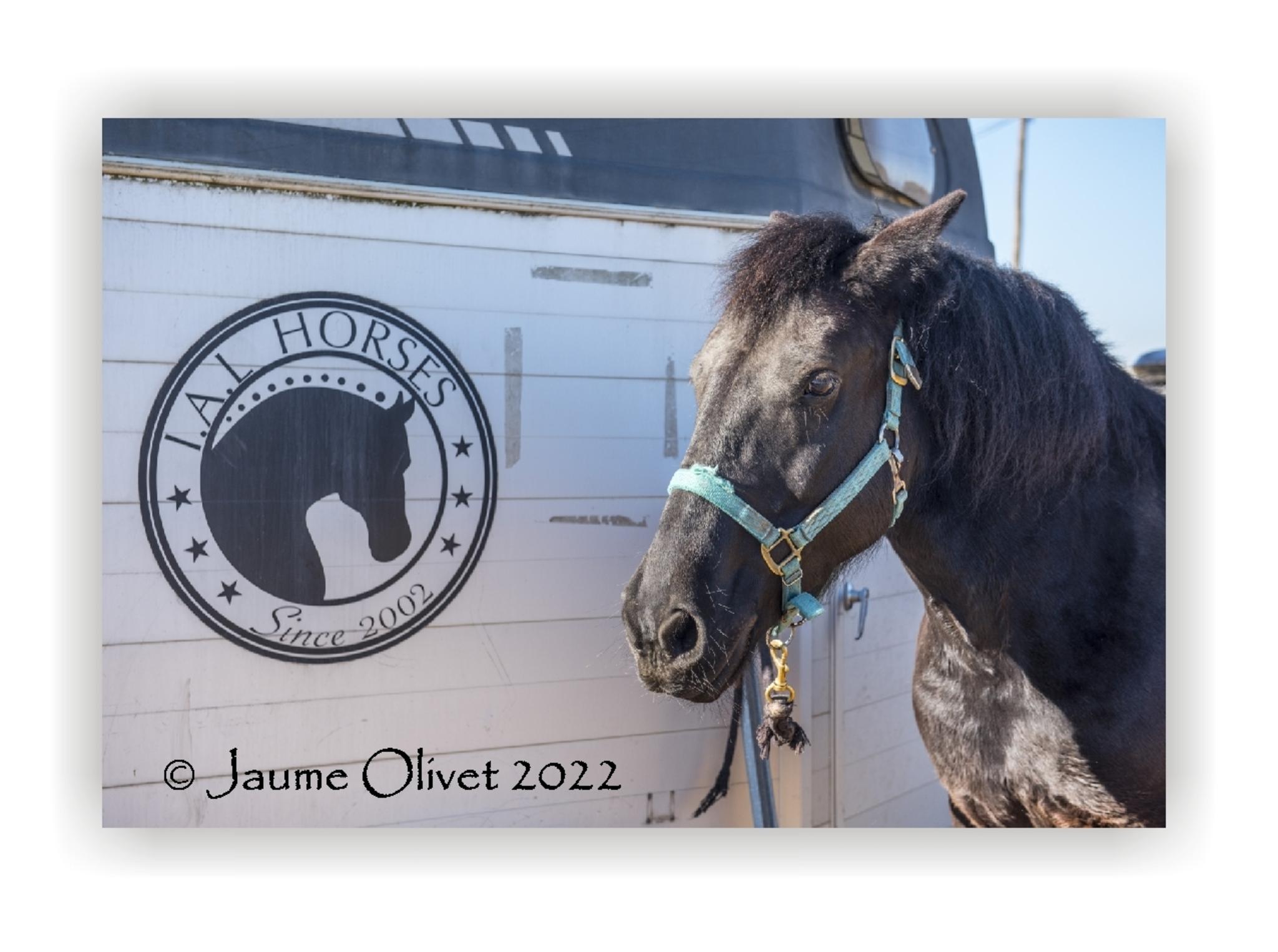  Jaume Olivet 2022
