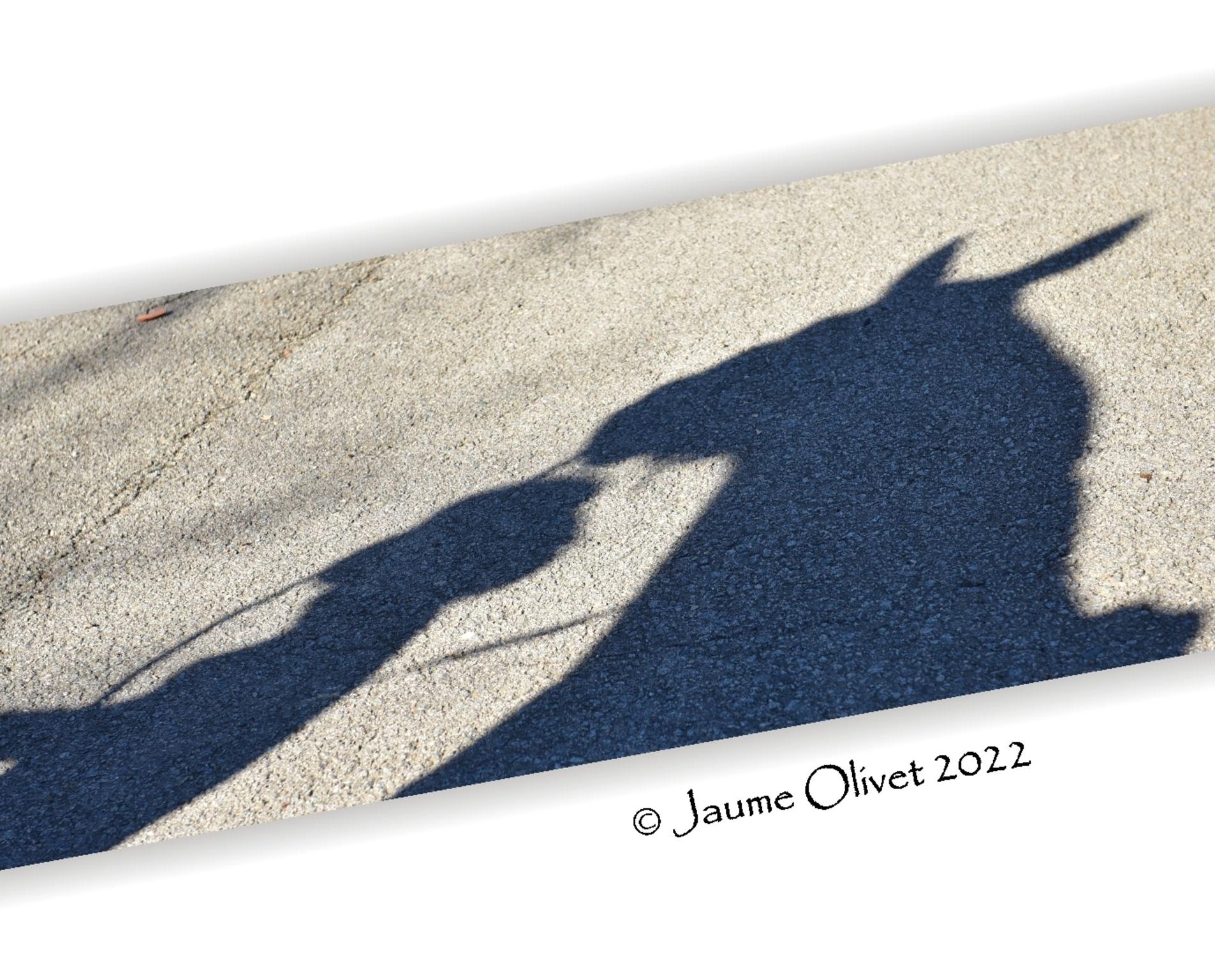  Jaume Olivet 2022