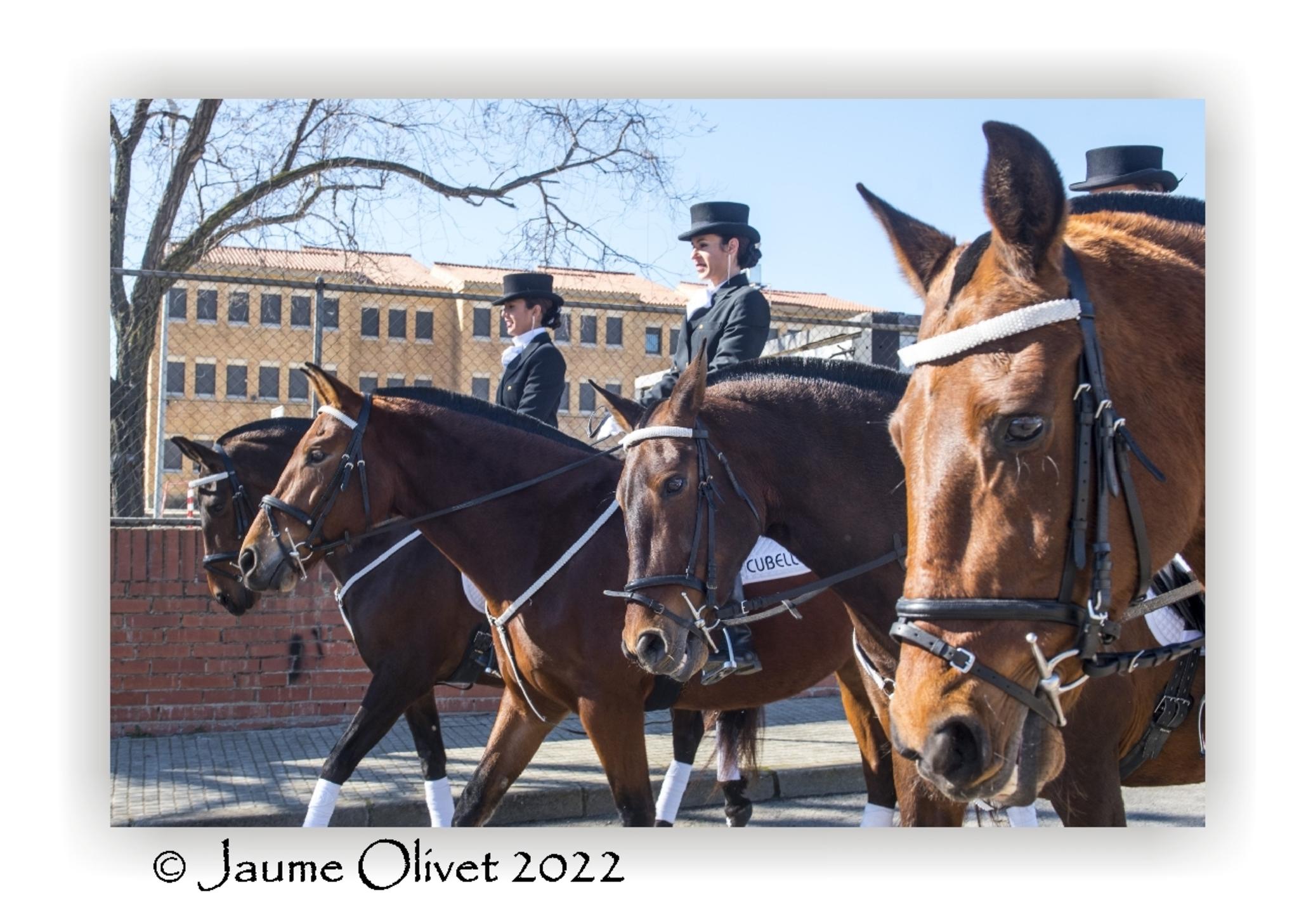  Jaume Olivet 2022