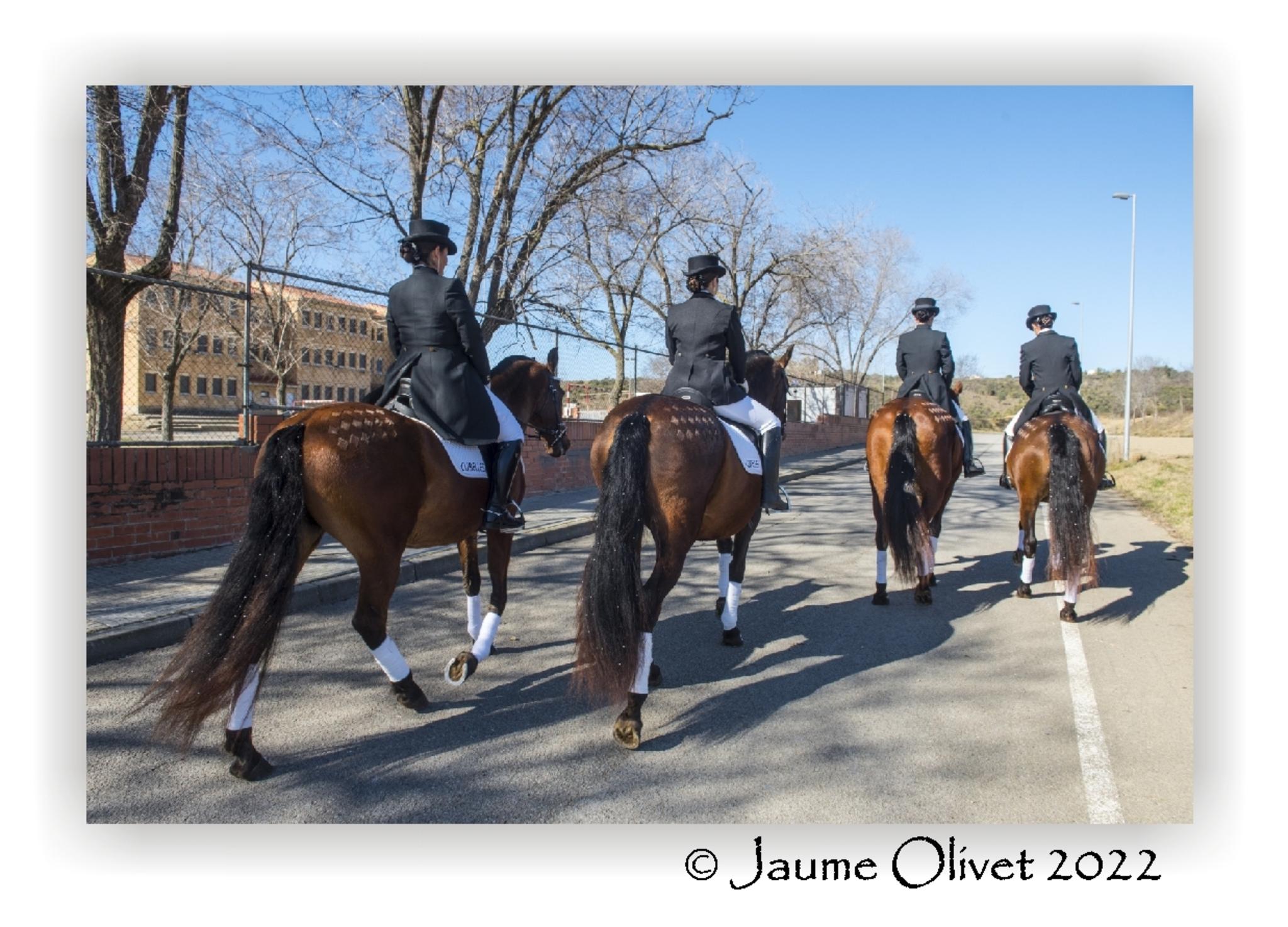  Jaume Olivet 2022