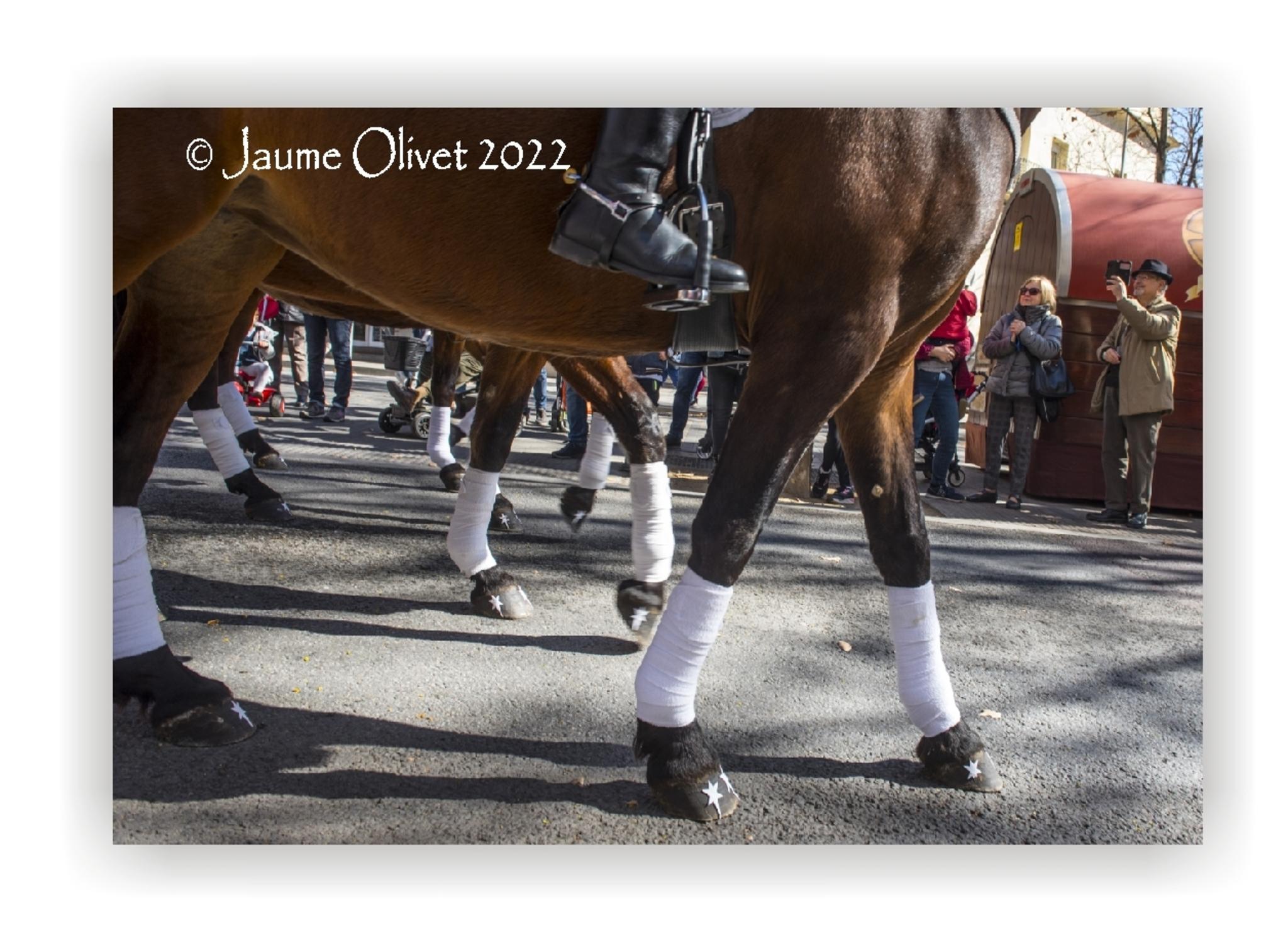  Jaume Olivet 2022