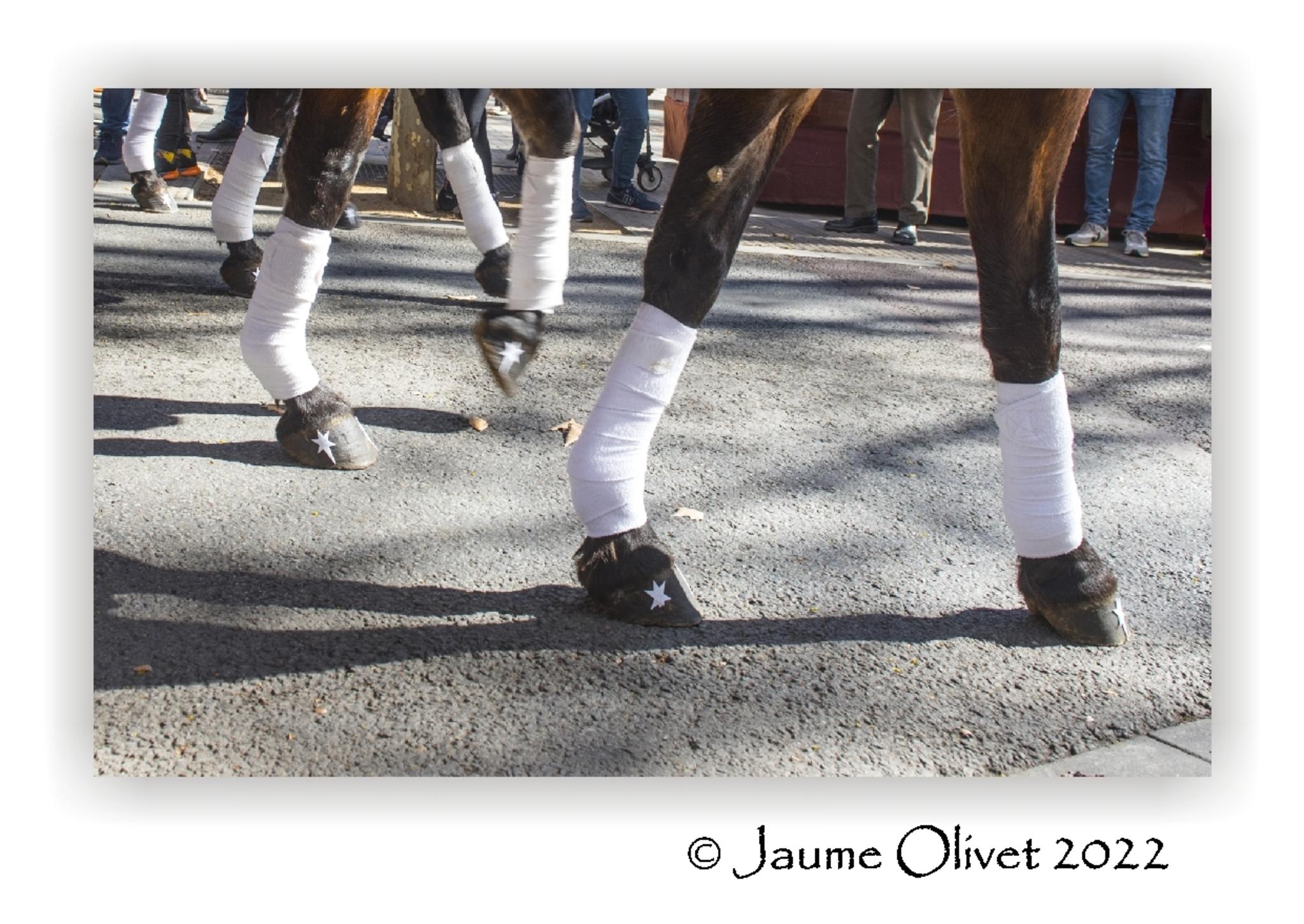  Jaume Olivet 2022