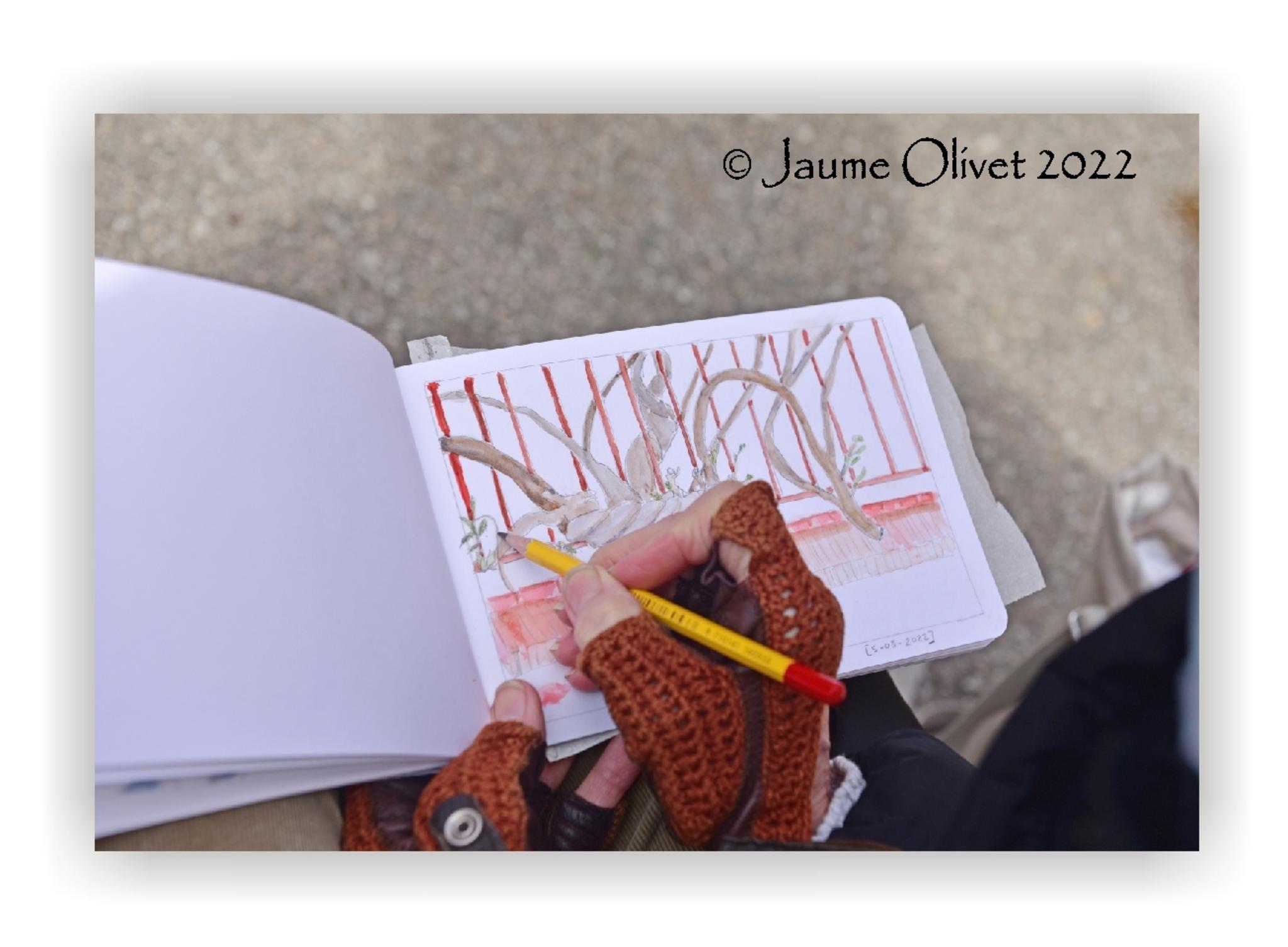  Jaume Olivet 2022