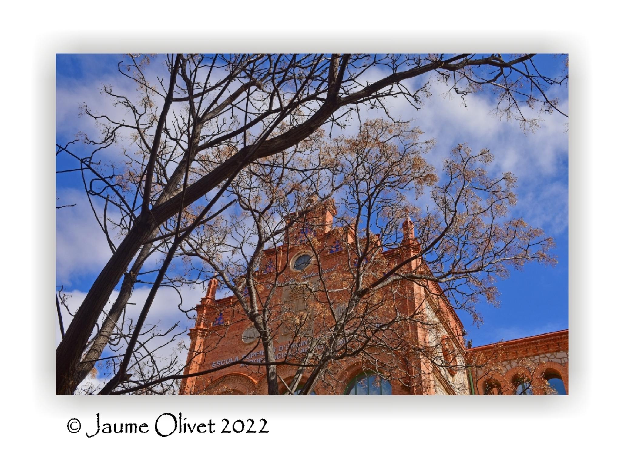  Jaume Olivet 2022