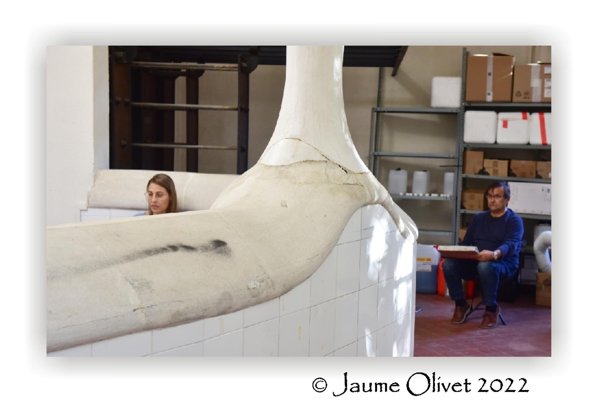  Jaume Olivet 2022