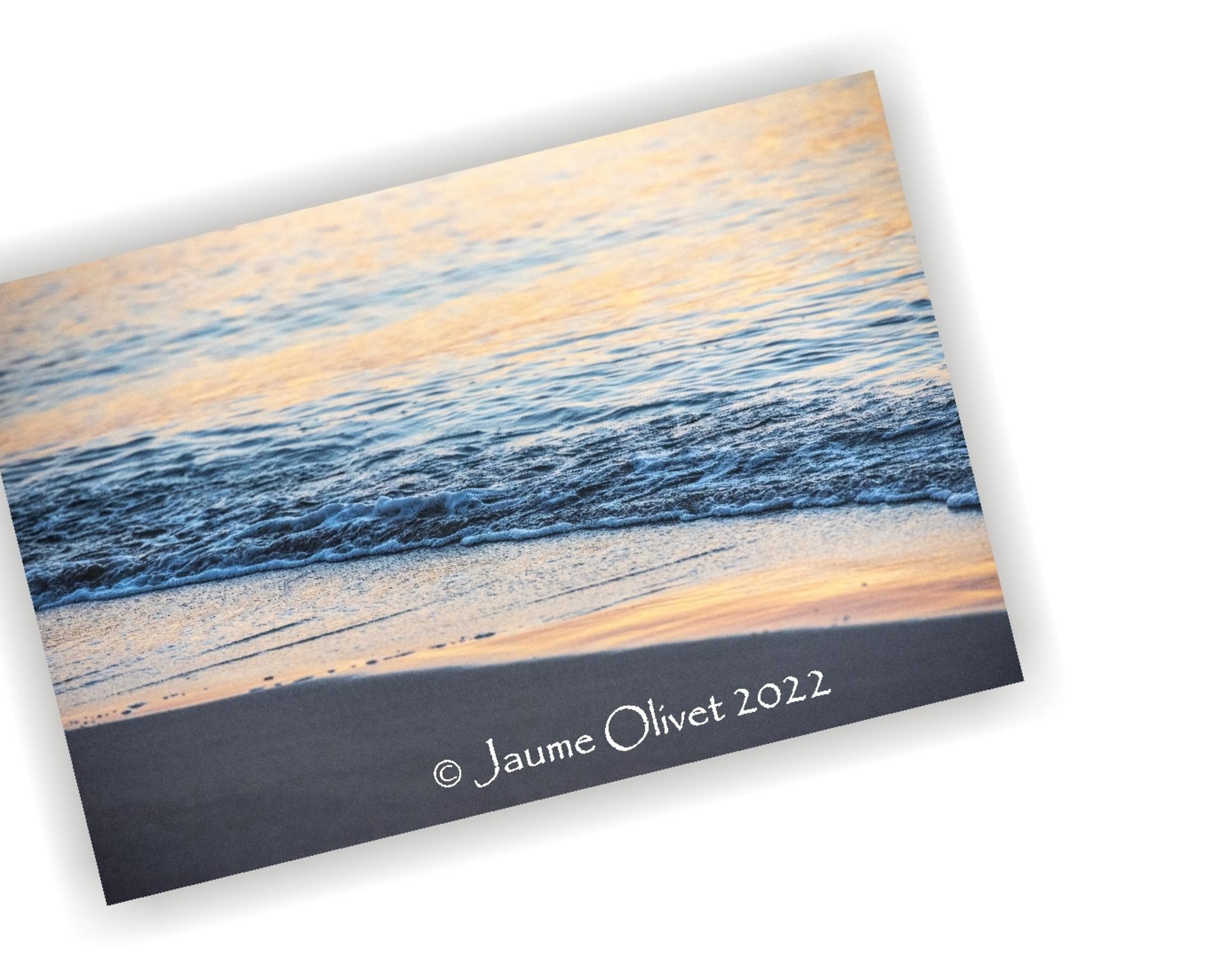  Jaume Olivet 2022