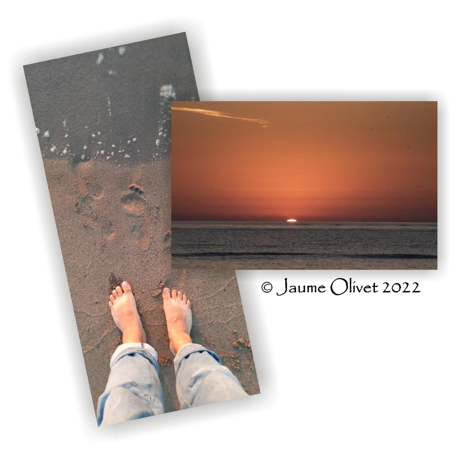  Jaume Olivet 2022