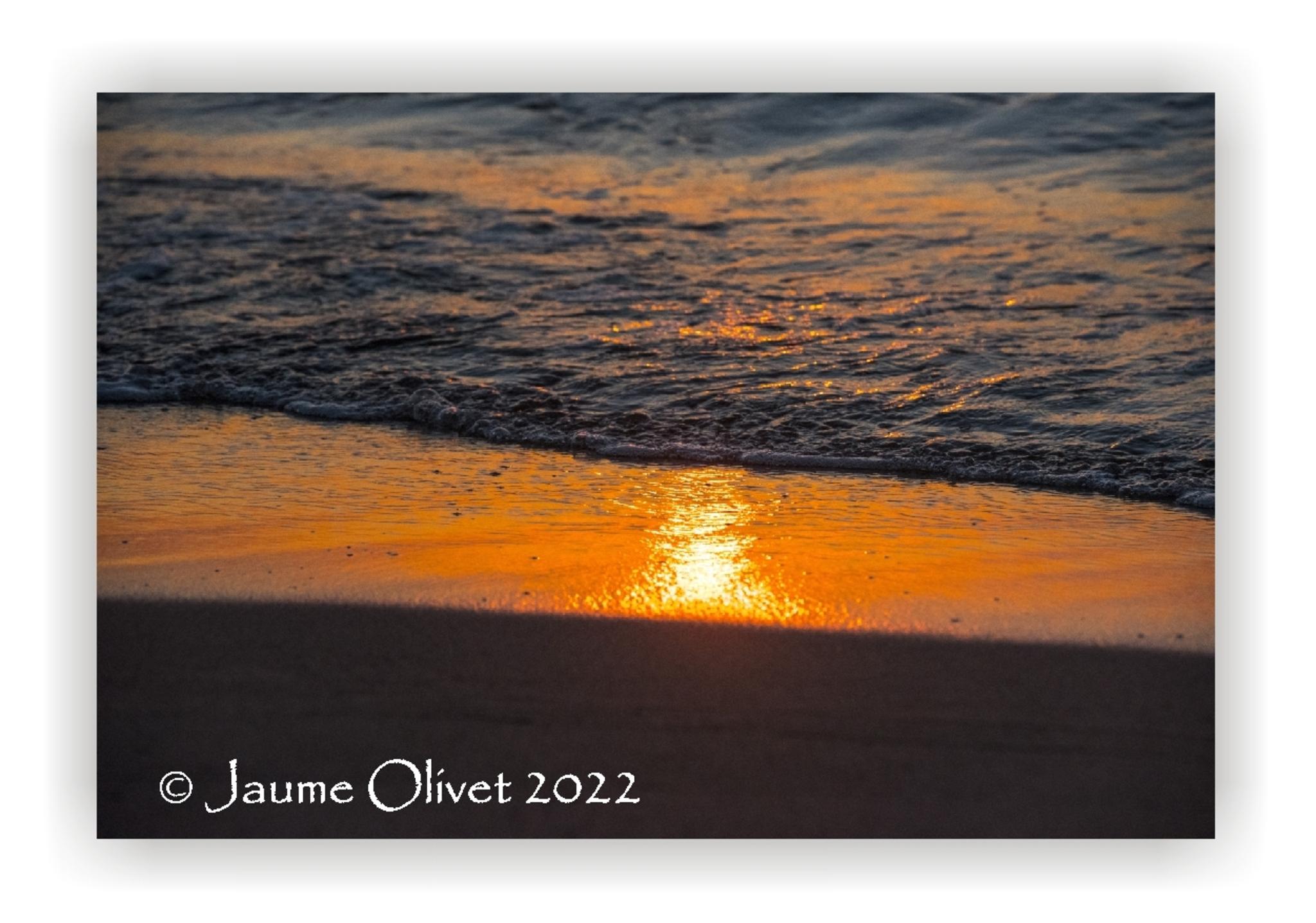  Jaume Olivet 2022