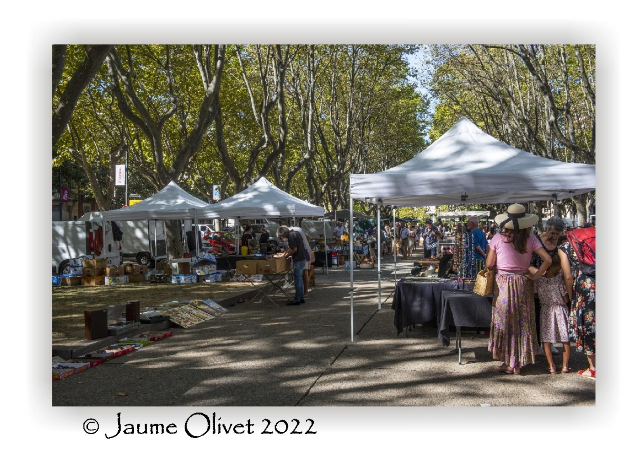  Jaume Olivet 2022