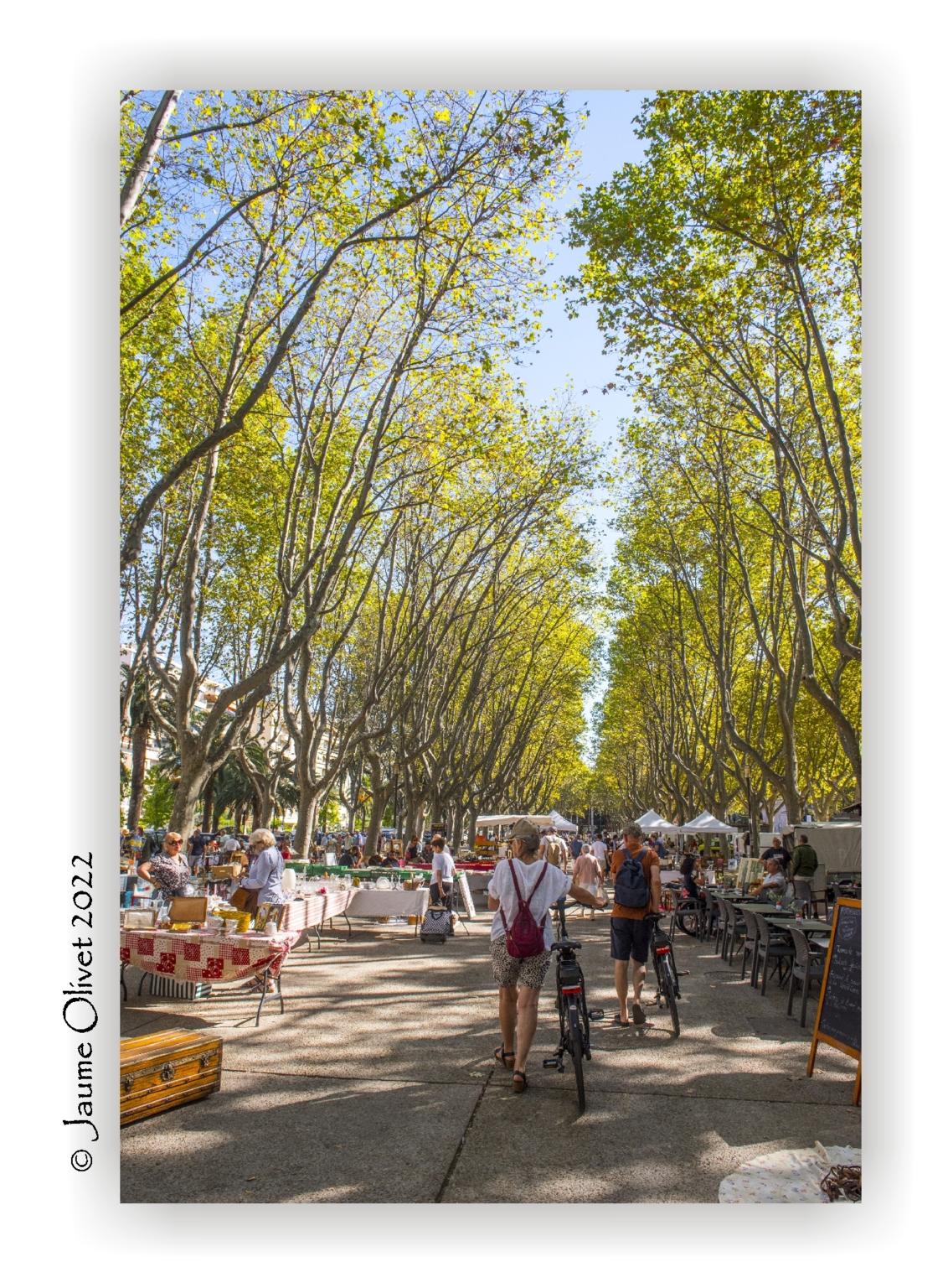  Jaume Olivet 2022