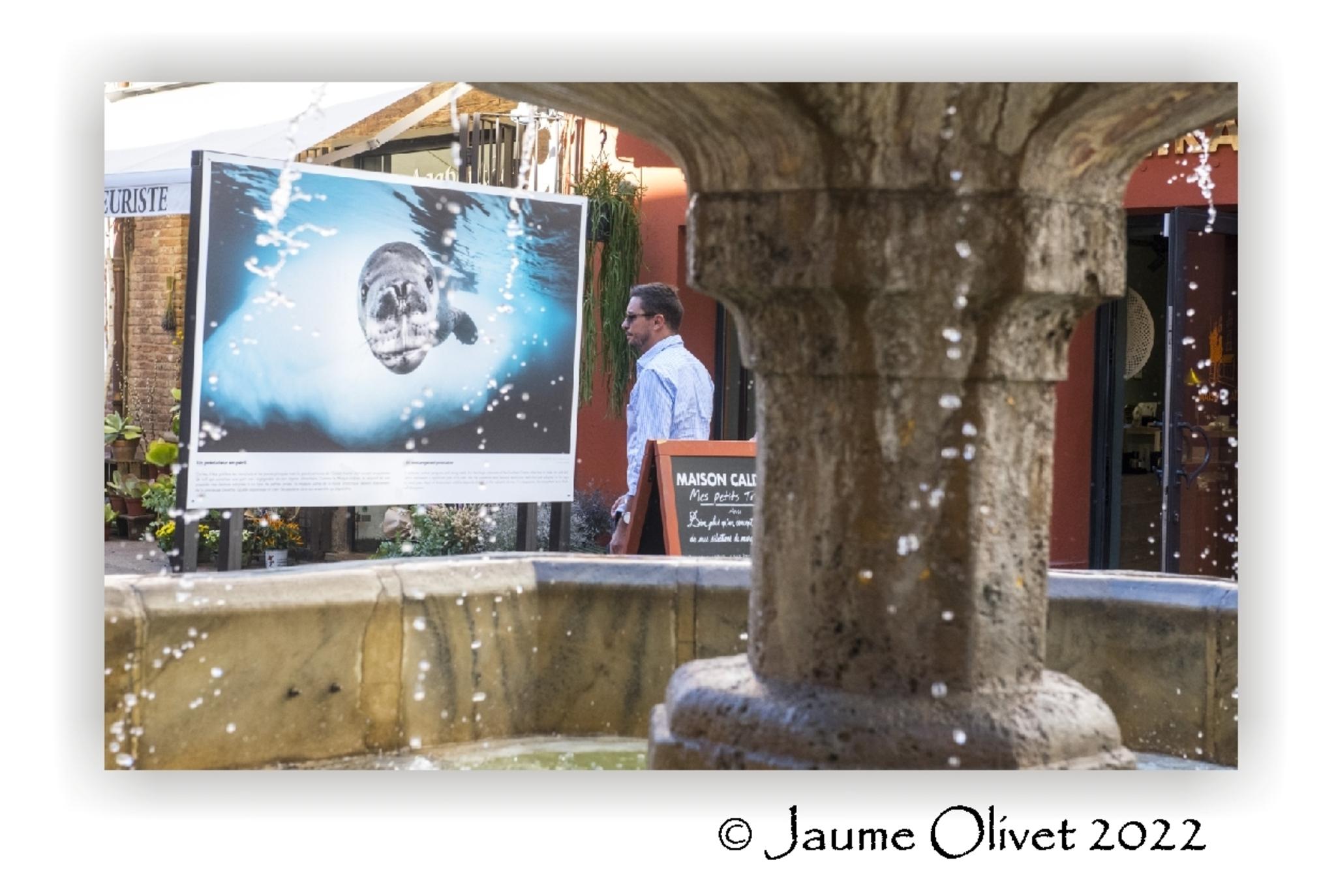  Jaume Olivet 2022