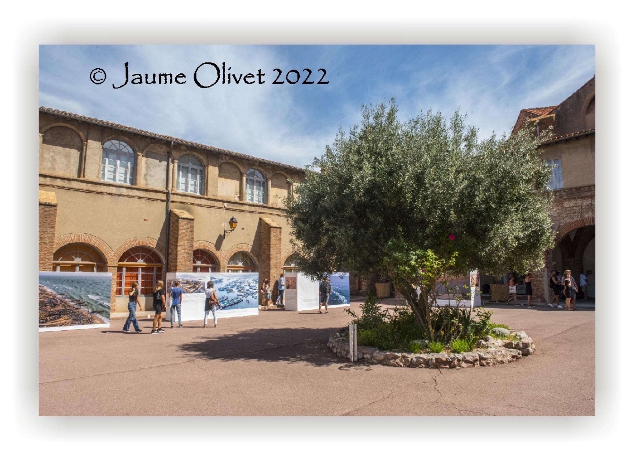  Jaume Olivet 2022