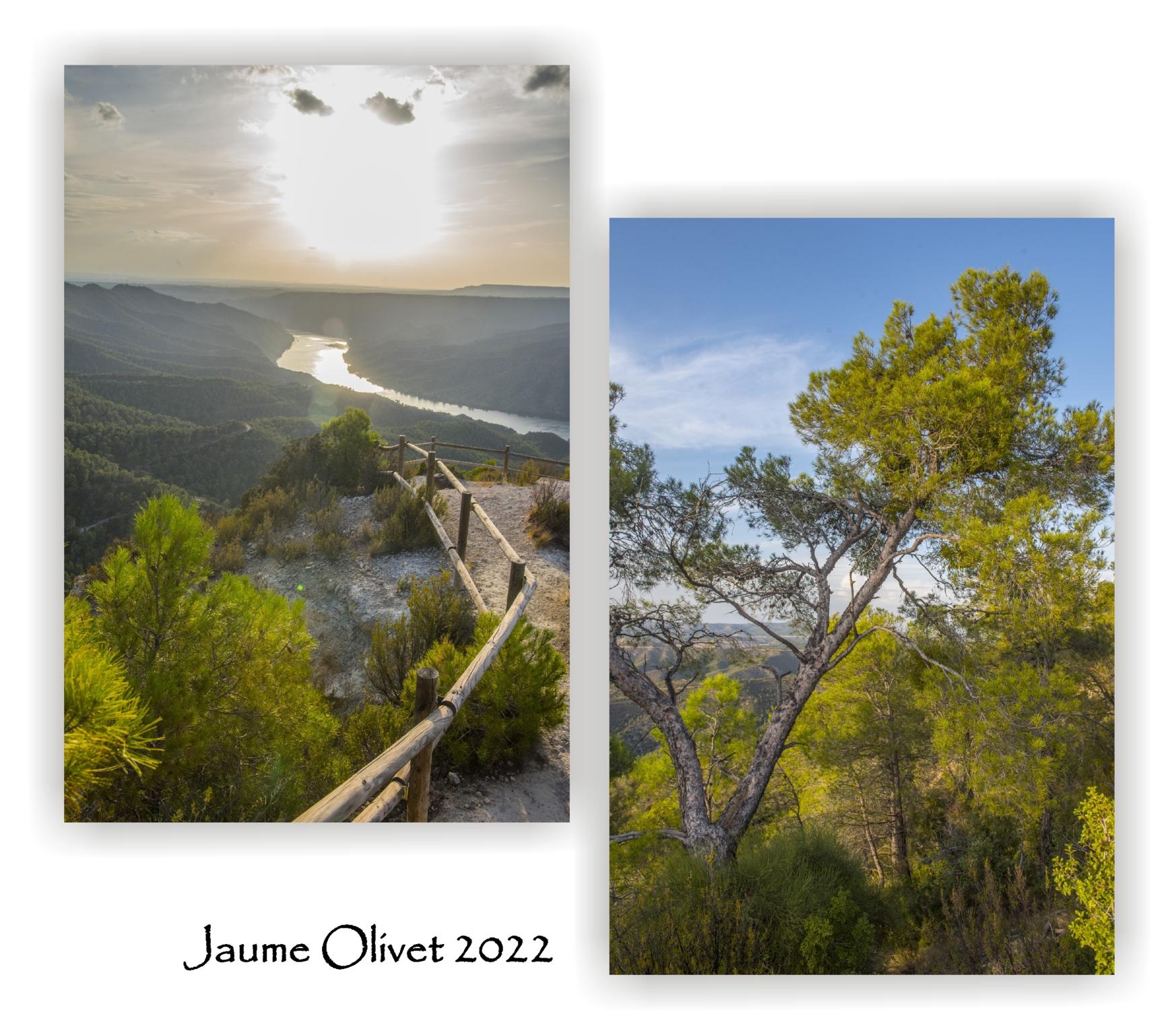  Jaume Olivet 2022