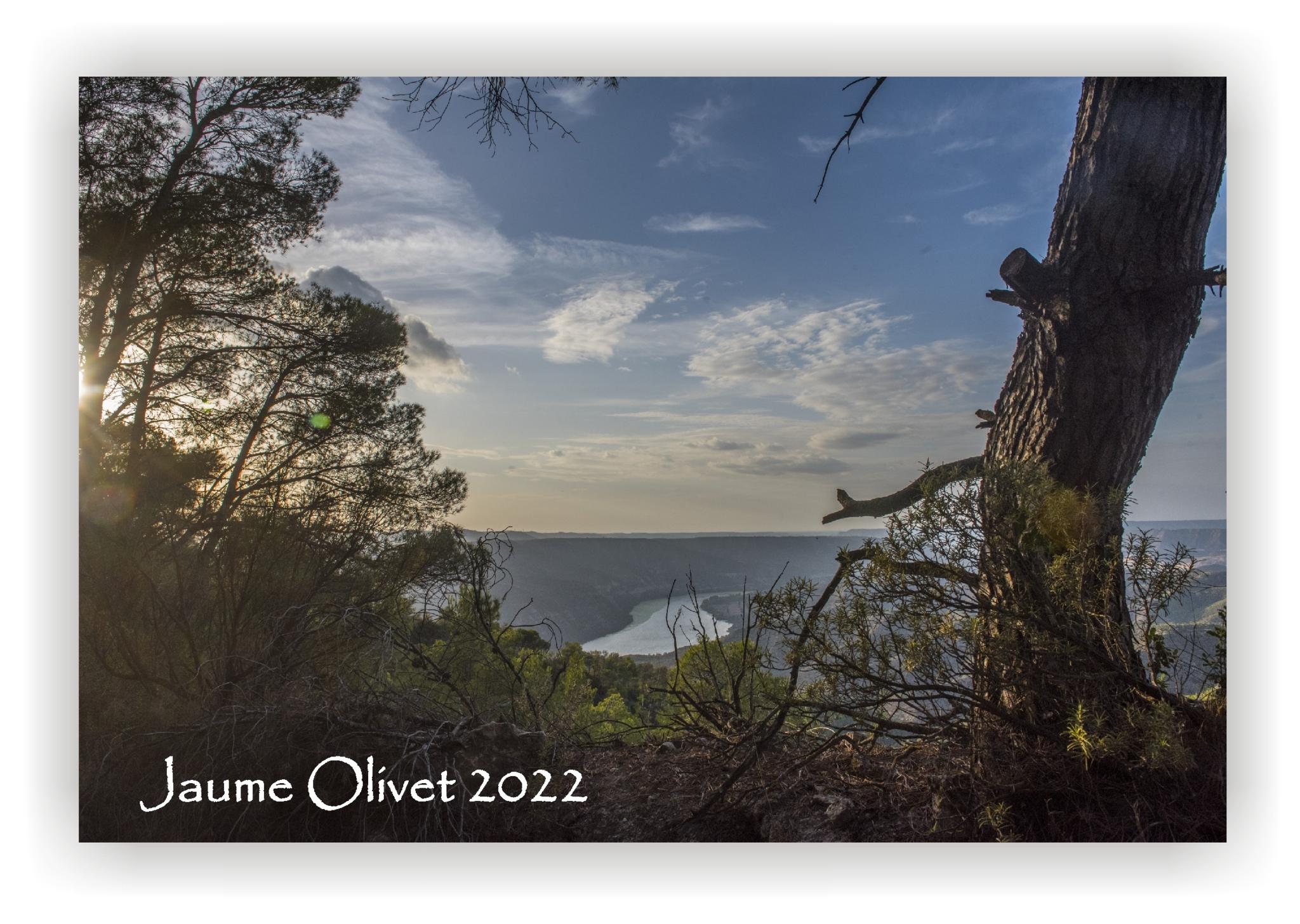  Jaume Olivet 2022