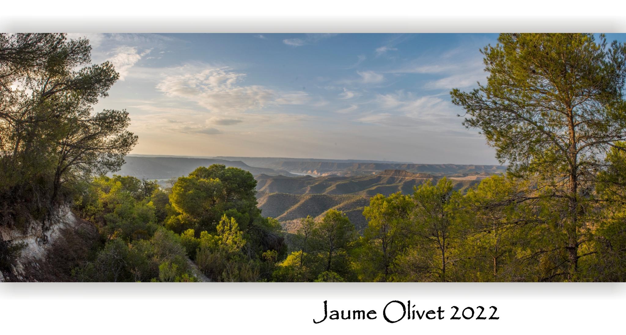  Jaume Olivet 2022