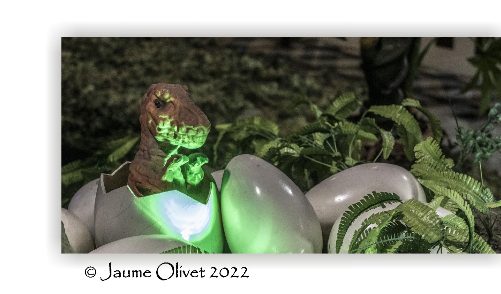  Jaume Olivet 2022