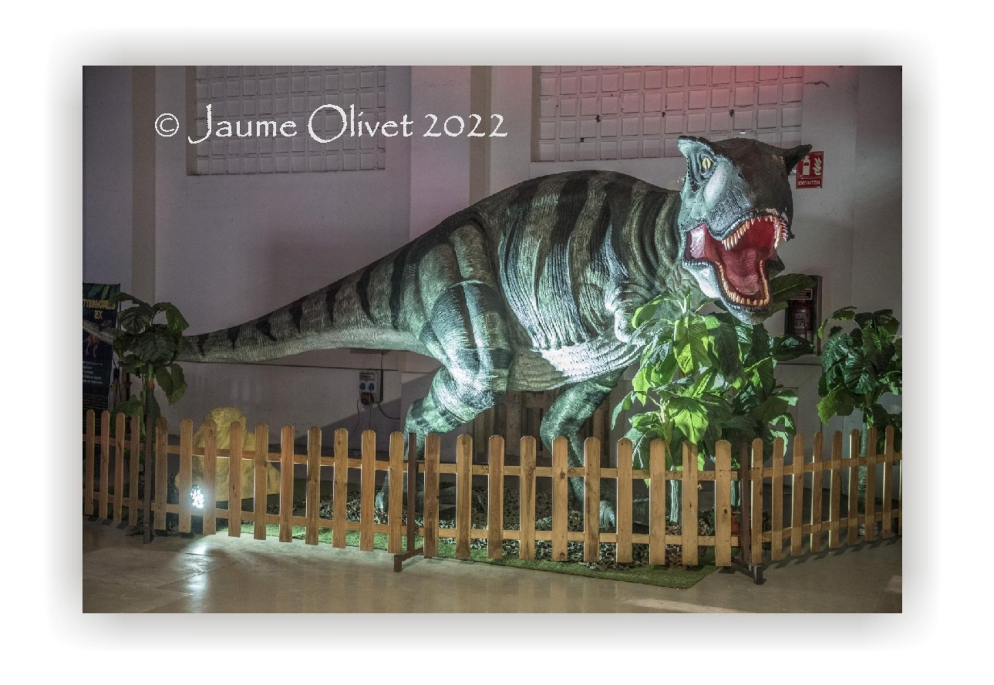  Jaume Olivet 2022