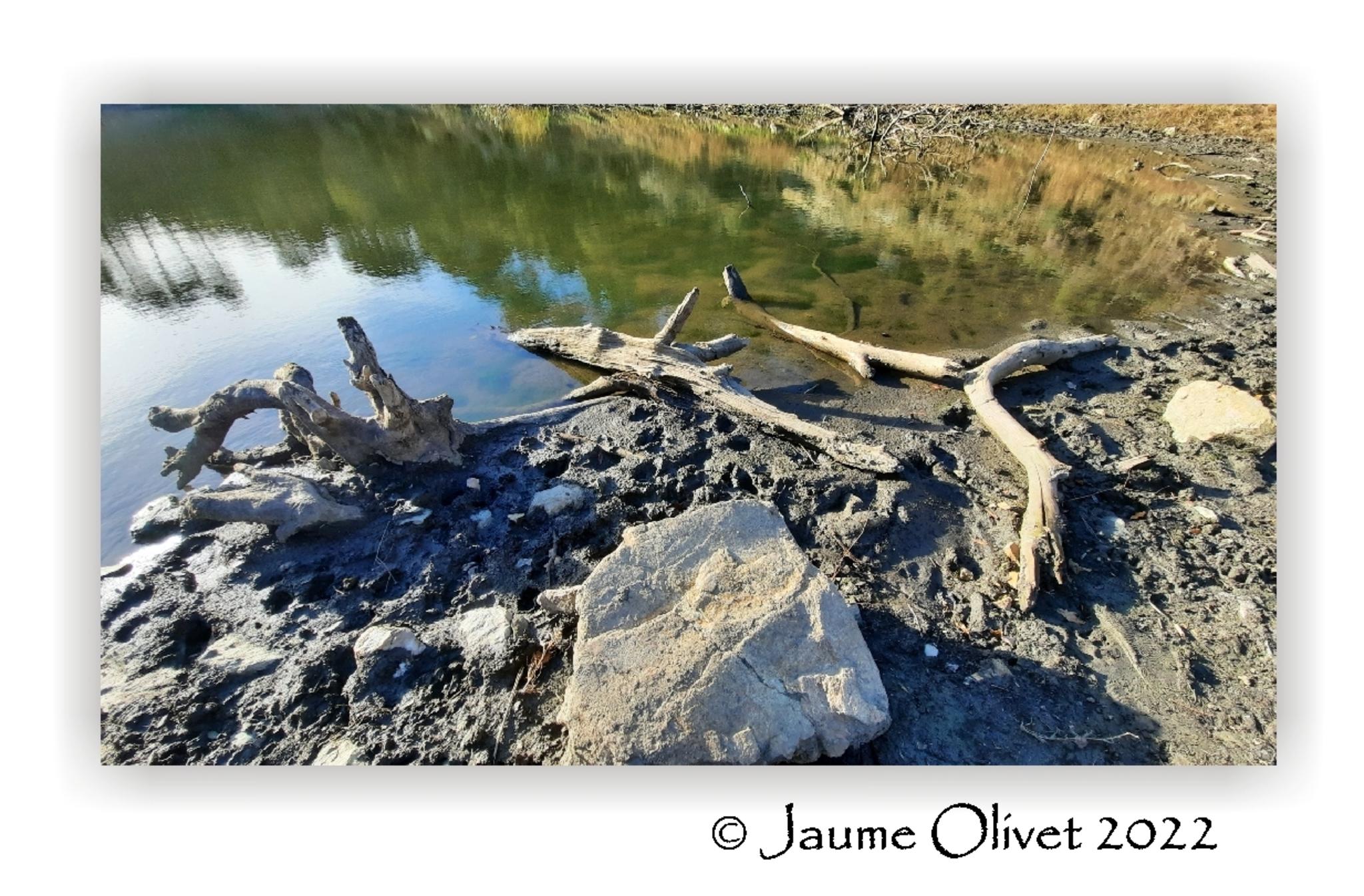  Jaume Olivet 2022