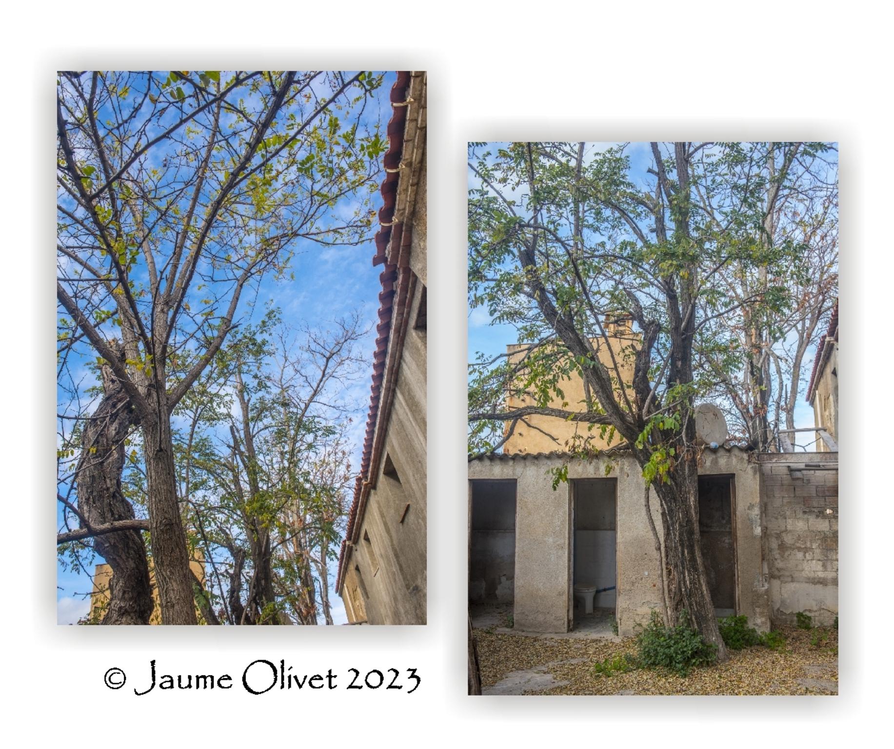  Jaume Olivet 2023