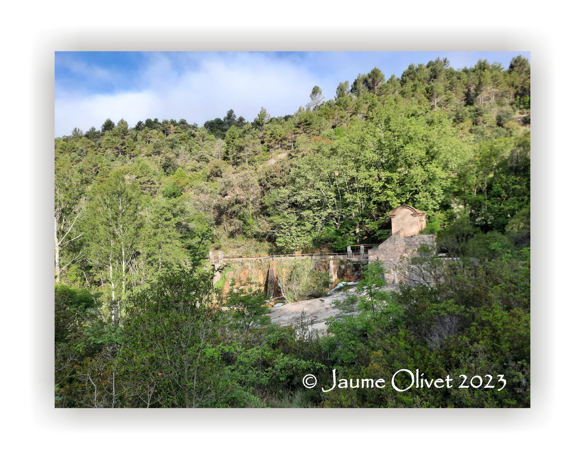  Jaume Olivet 2023