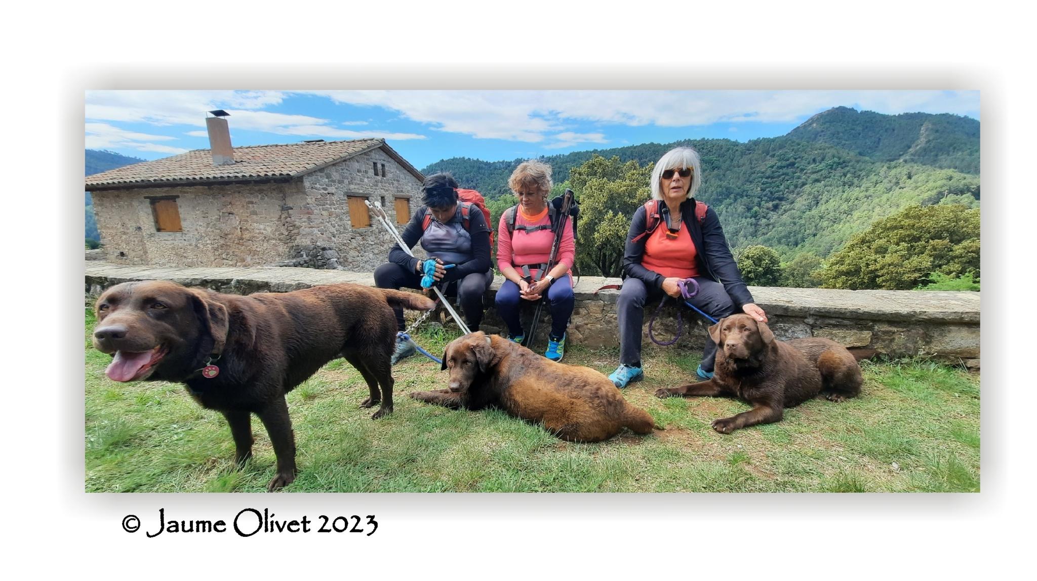  Jaume Olivet 2023