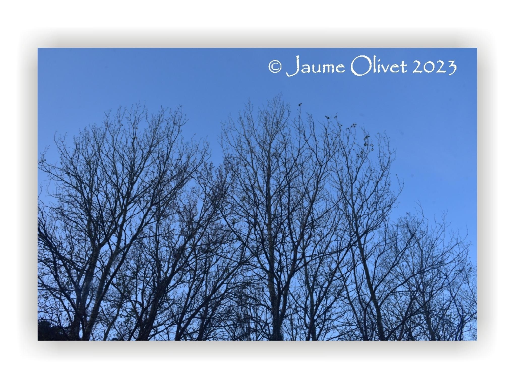  Jaume Olivet 2023