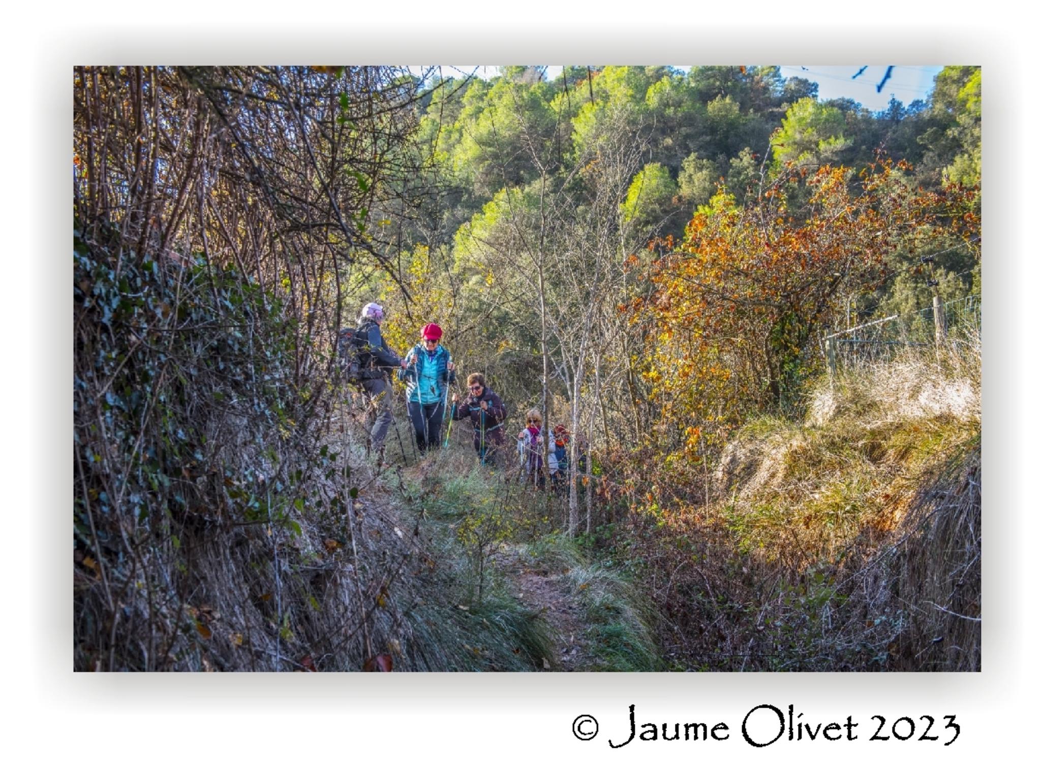  Jaume Olivet 2023