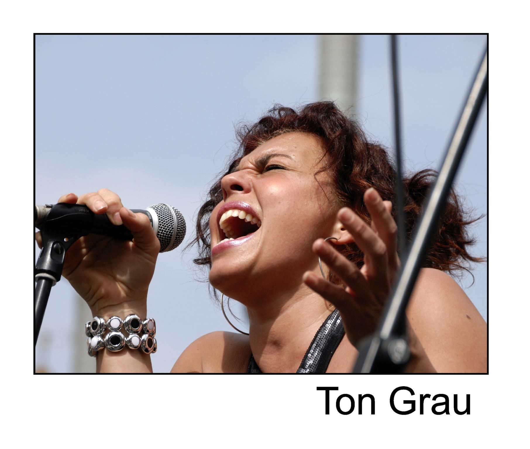  Ton Grau